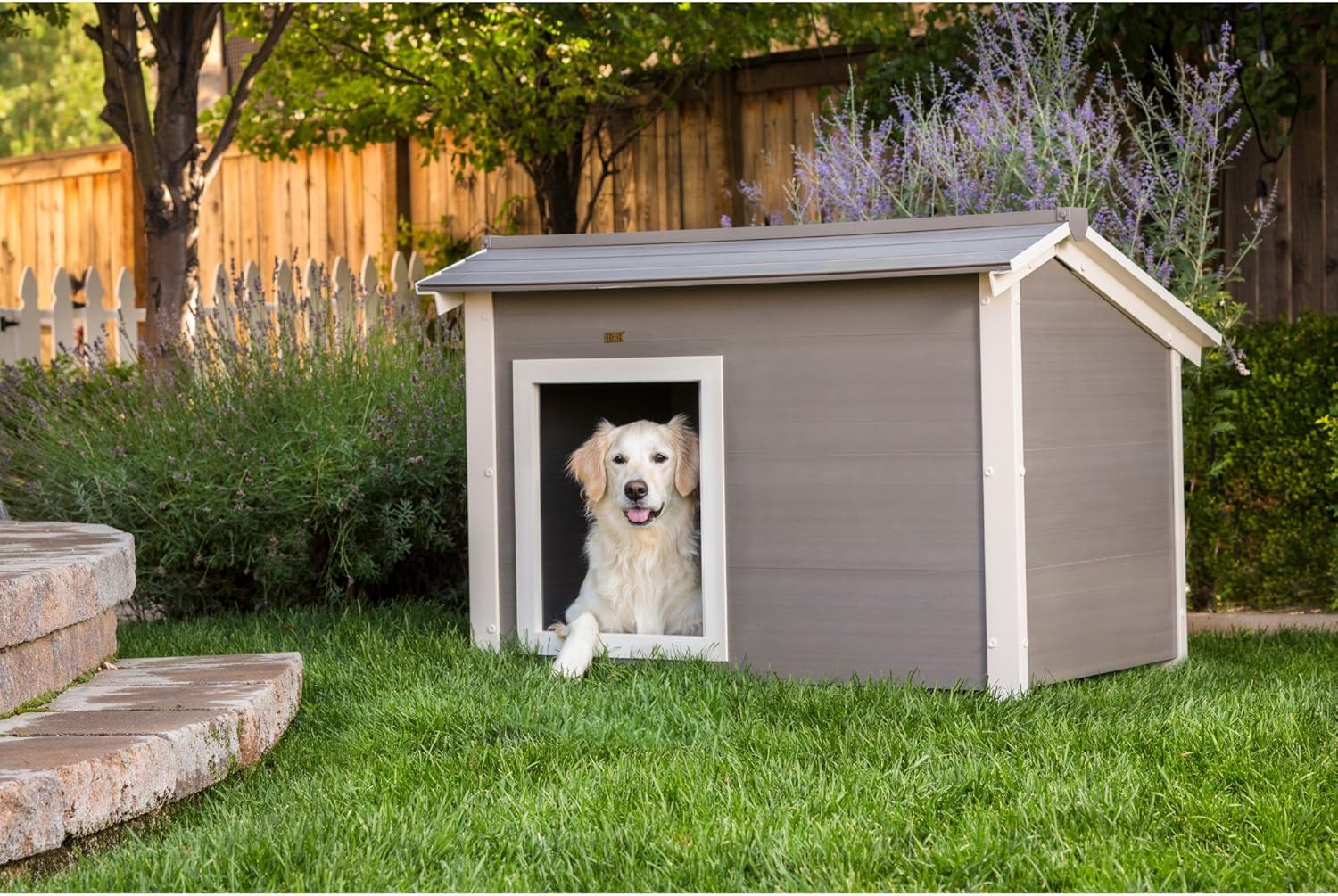 ecoflex dog kennel