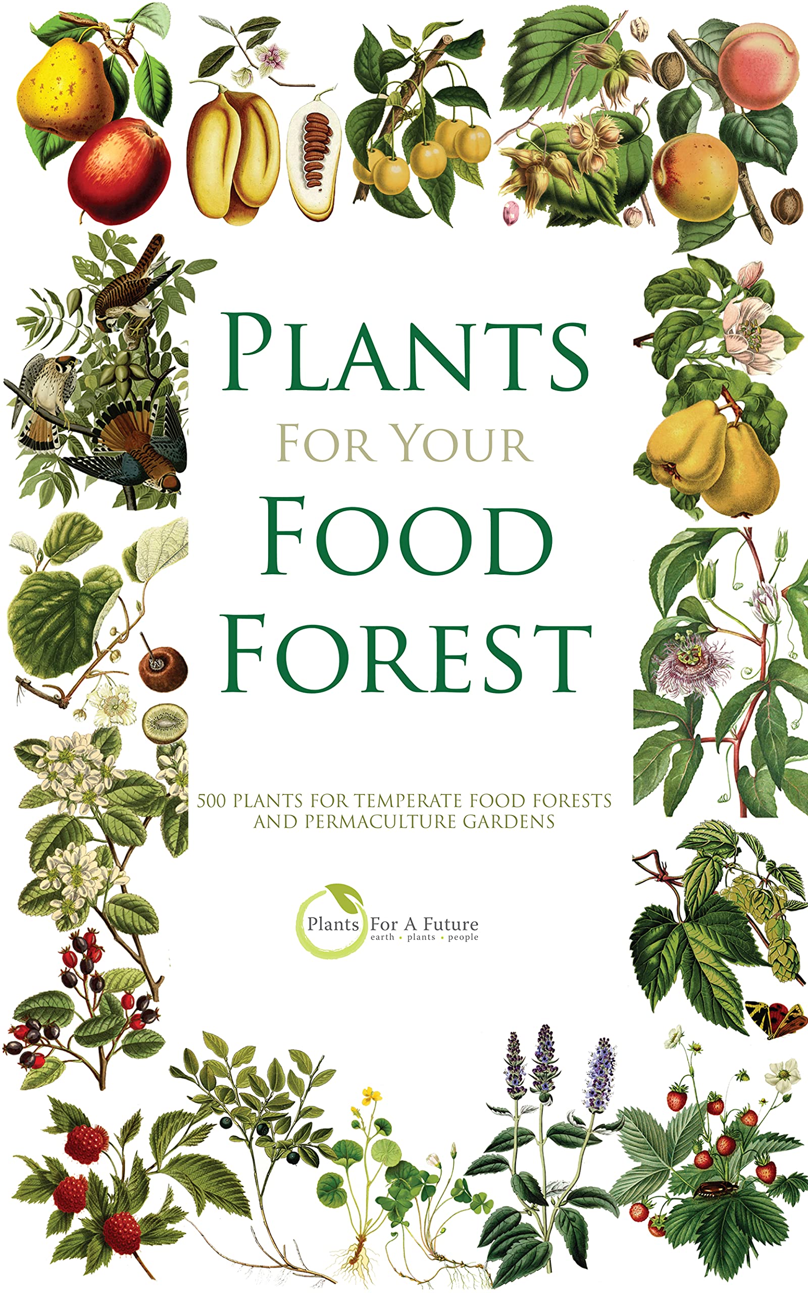 PLANTS FOR YOUR FOOD FOREST: 500 PLANTS FOR TEMPERATE FOOD FORESTS AND PERMACULTURE GARDENS