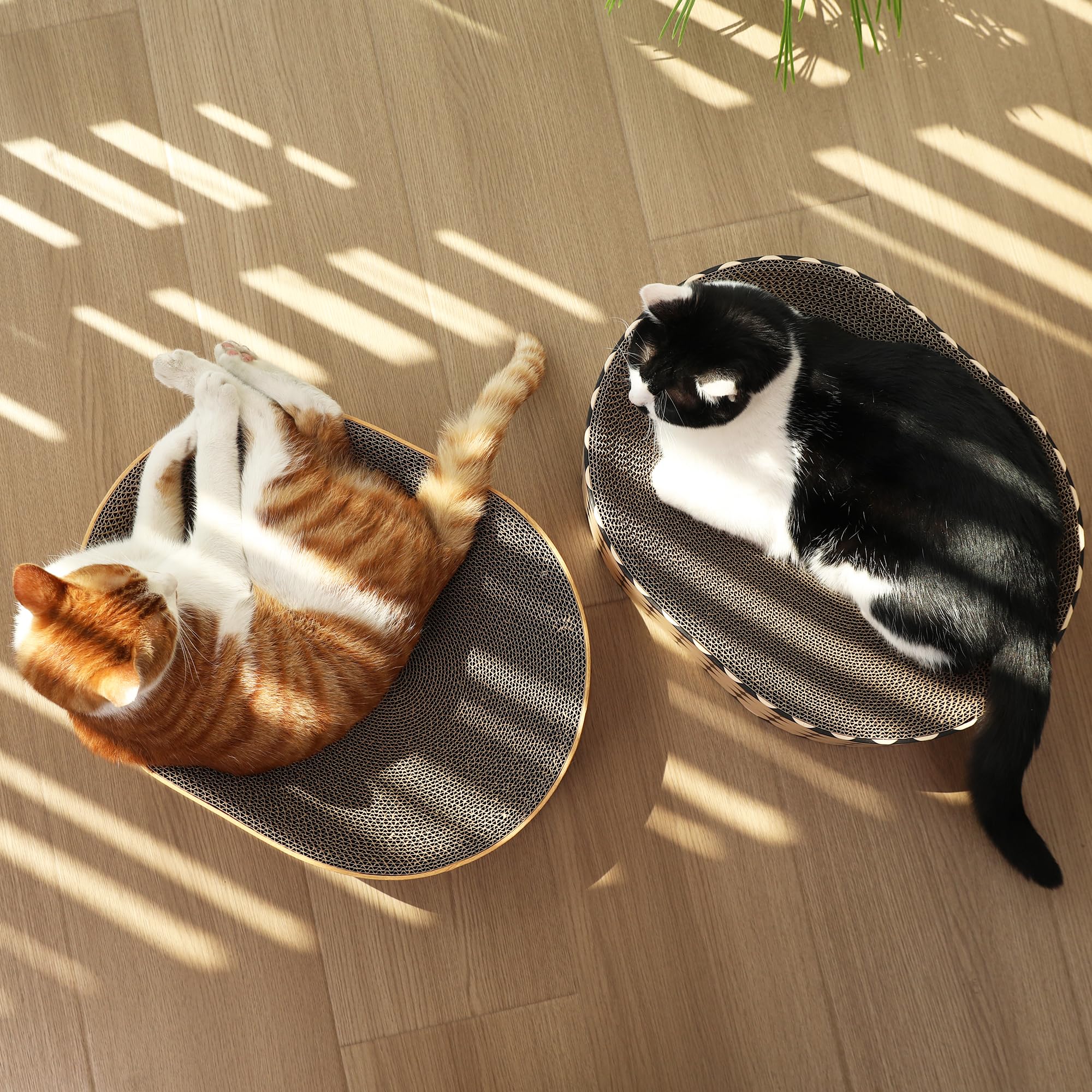 FUKUMARU Tablero Rascador Ovalado para Gatos en Cartón con Patrón de Vetas de Madera - Protege Sus Muebles para Rascar y Descansar