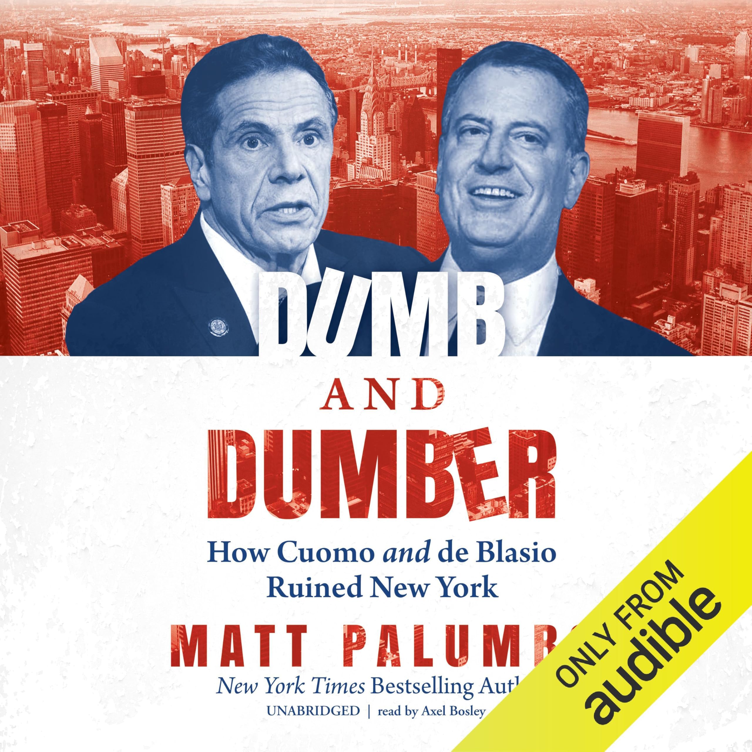 Cover art for Dumb and Dumber