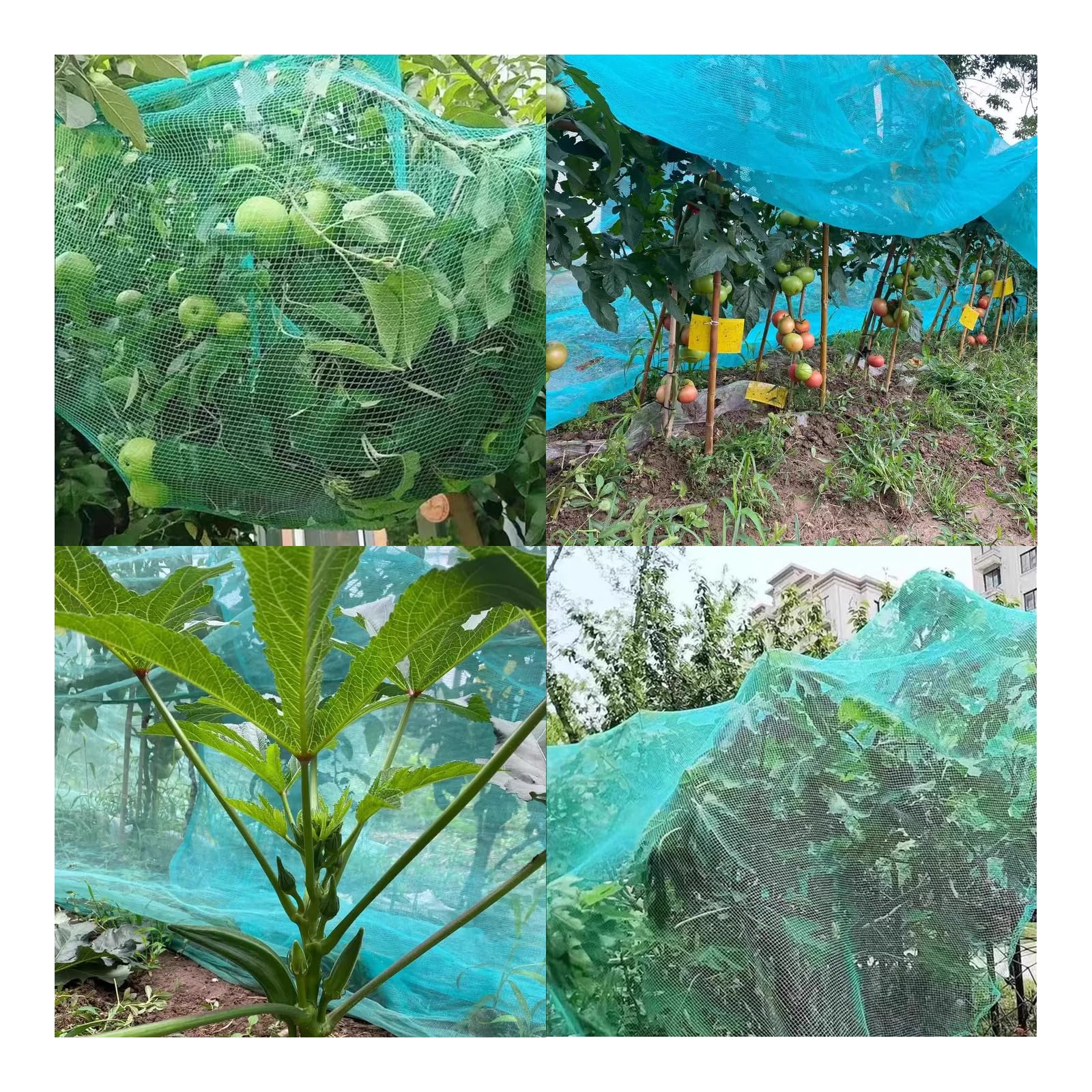 Rete di Protezione da Giardino for Alberi da frutto, aiuole, Misure Multiple(7x7m)