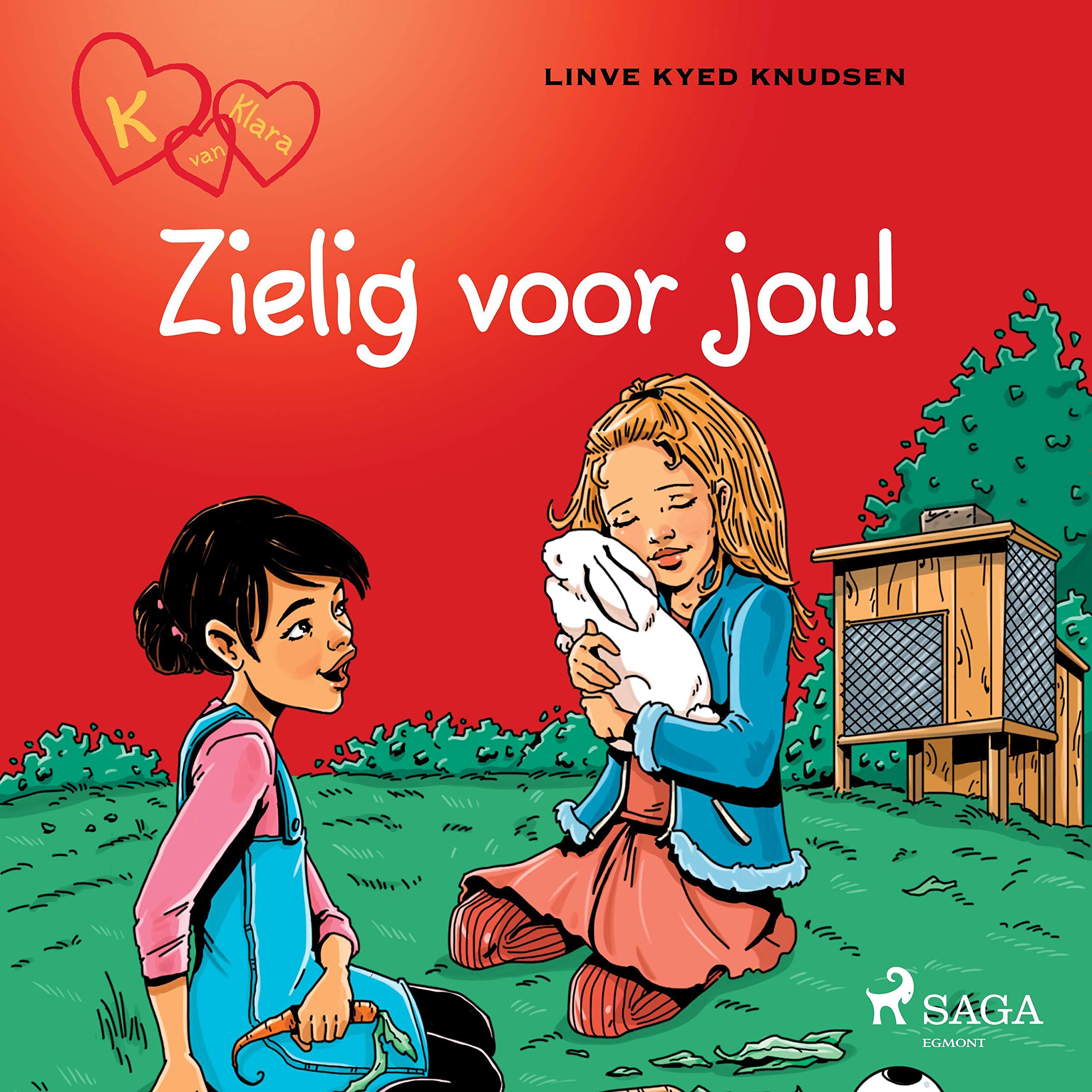 Cover art for Zielig voor jou!