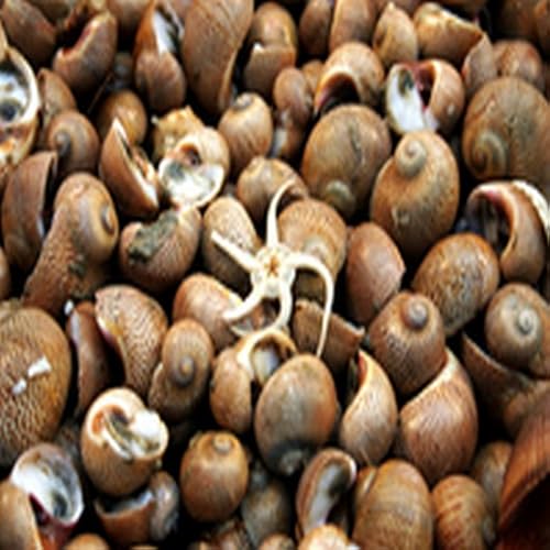 Pork and Potatoes with Tomato Relish - //medicalbooks.filipinodoctors.org