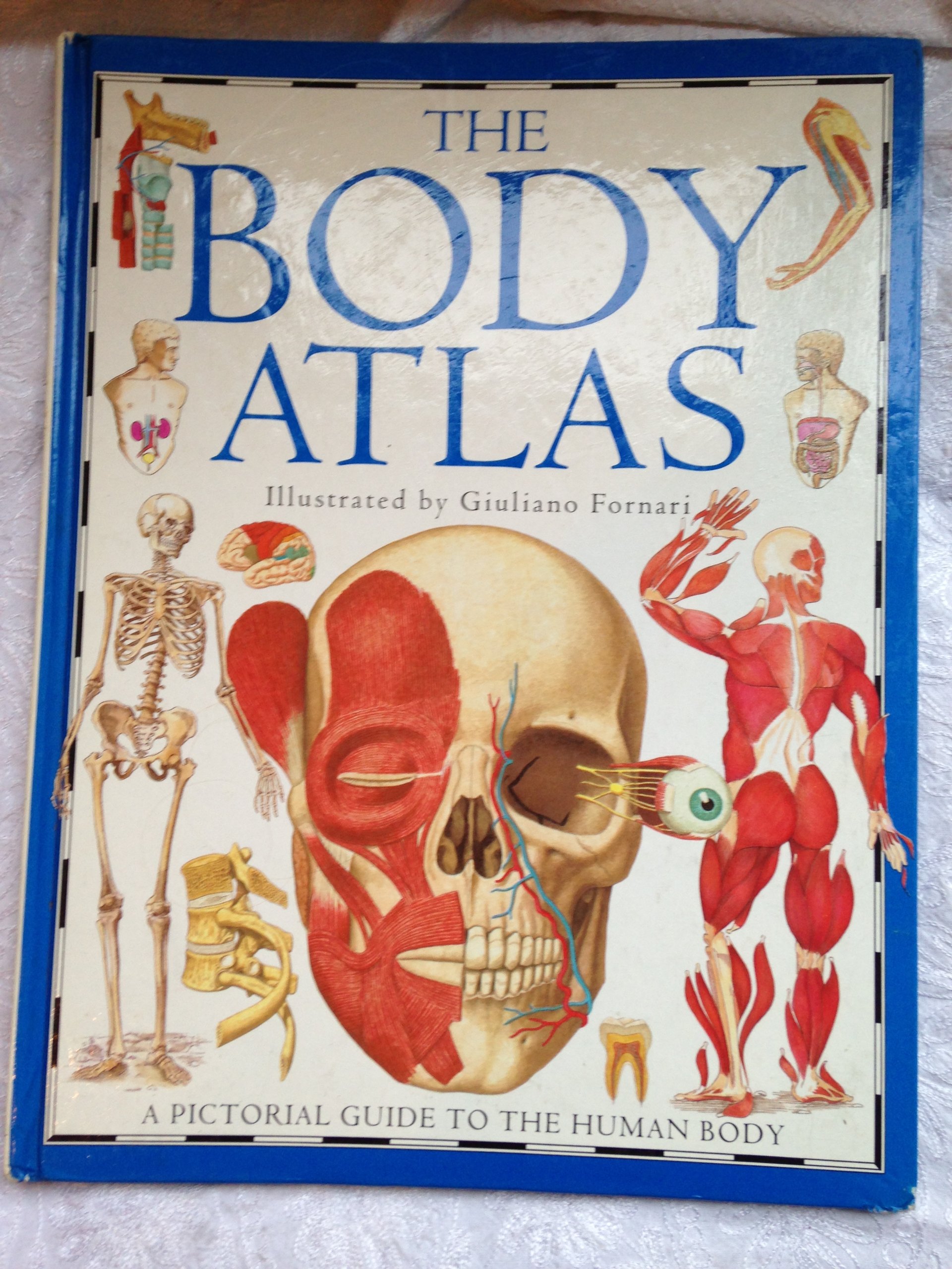 Body Atlas