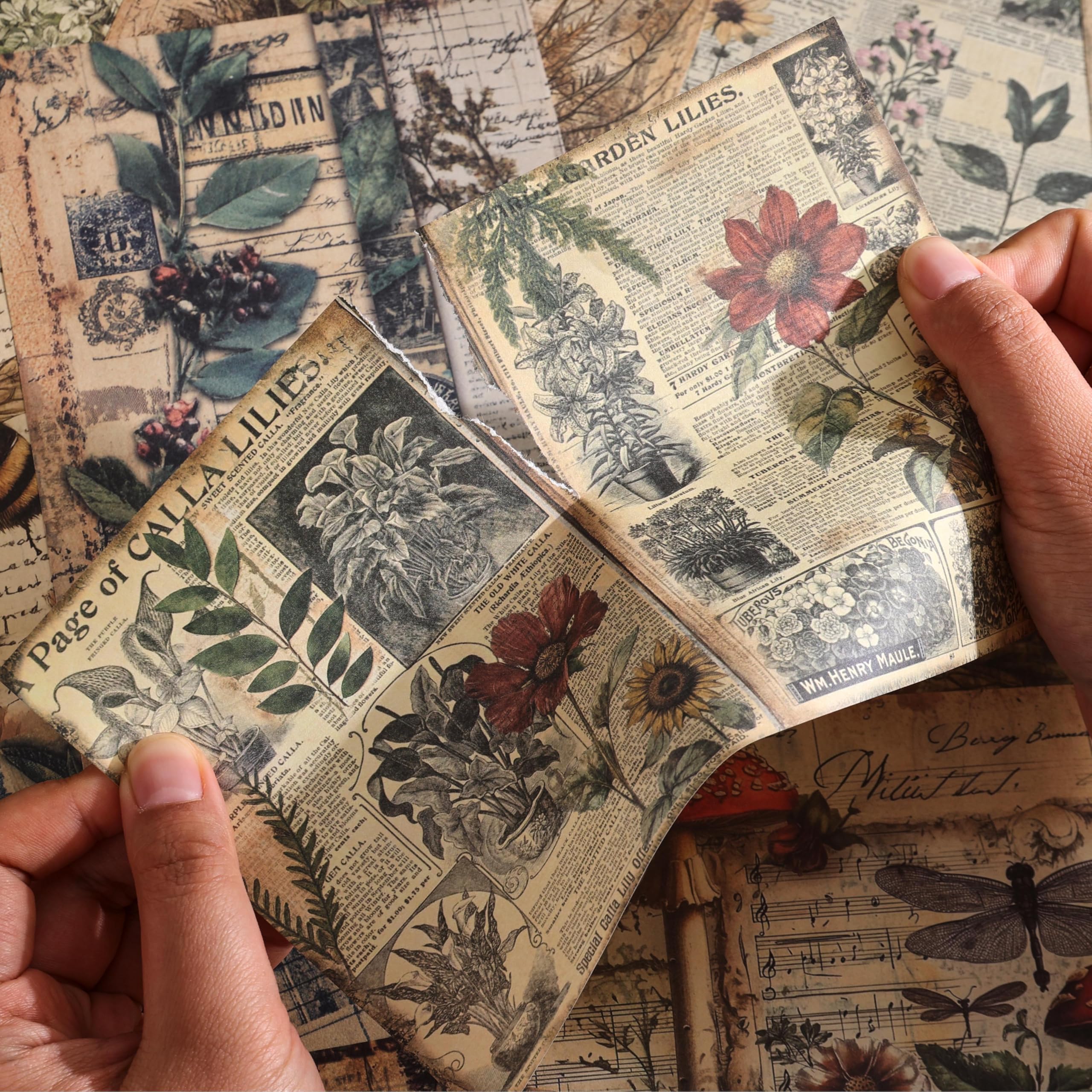 Zestaw 120 arkuszy papieru w stylu vintage, botaniczny album do scrapbookingu, artykuły do scrapbookingu, rękodzieło, zestaw papierów do decoupage, 4 motywy x 30 cm, kwiatowy wzór z grzybami