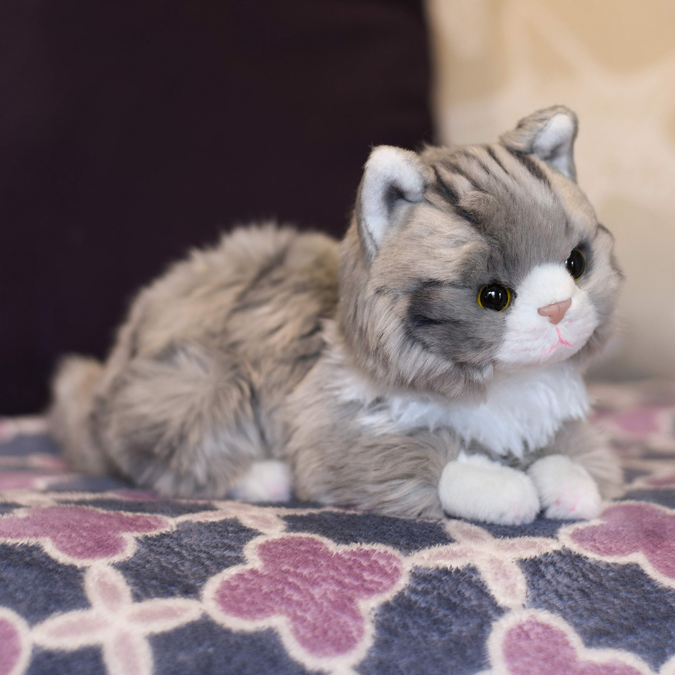 DEMDACO Sweet Maine Coon Cat Silver Grey 10 inch Children's Soft