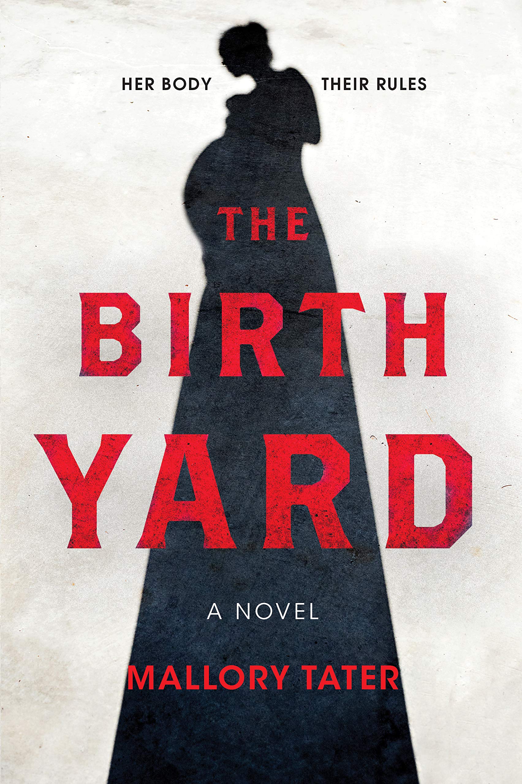 Buy The Birth Yard: A Novel — BookShops.in