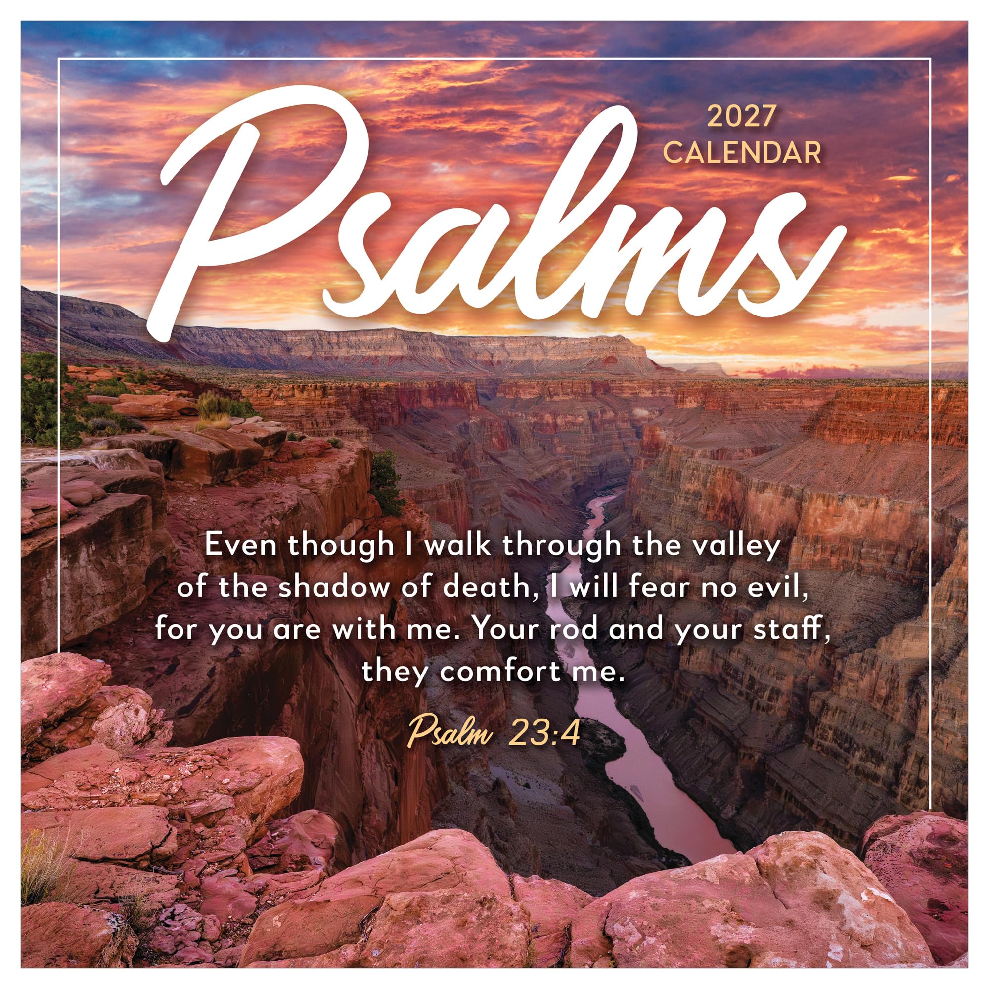 TF Publishing 2027 Psalms Wall Calendar - Large Grids for Appointments and Scheduling - Vertical Monthly Wall Calendar 2027 with Premium Gloss Paper for Home and Office Organization - 12x12 in