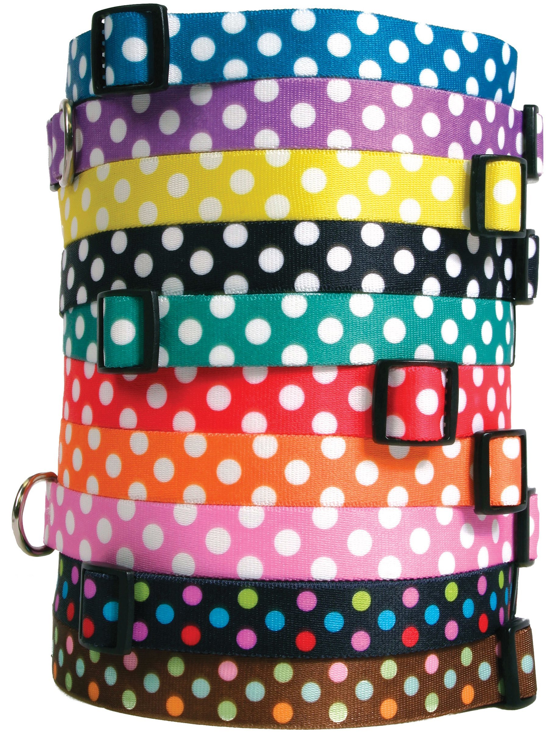 Yellow Dog Design Neopolitan Dog Collar with Tag-A-Long ID Tag System-Large-1
