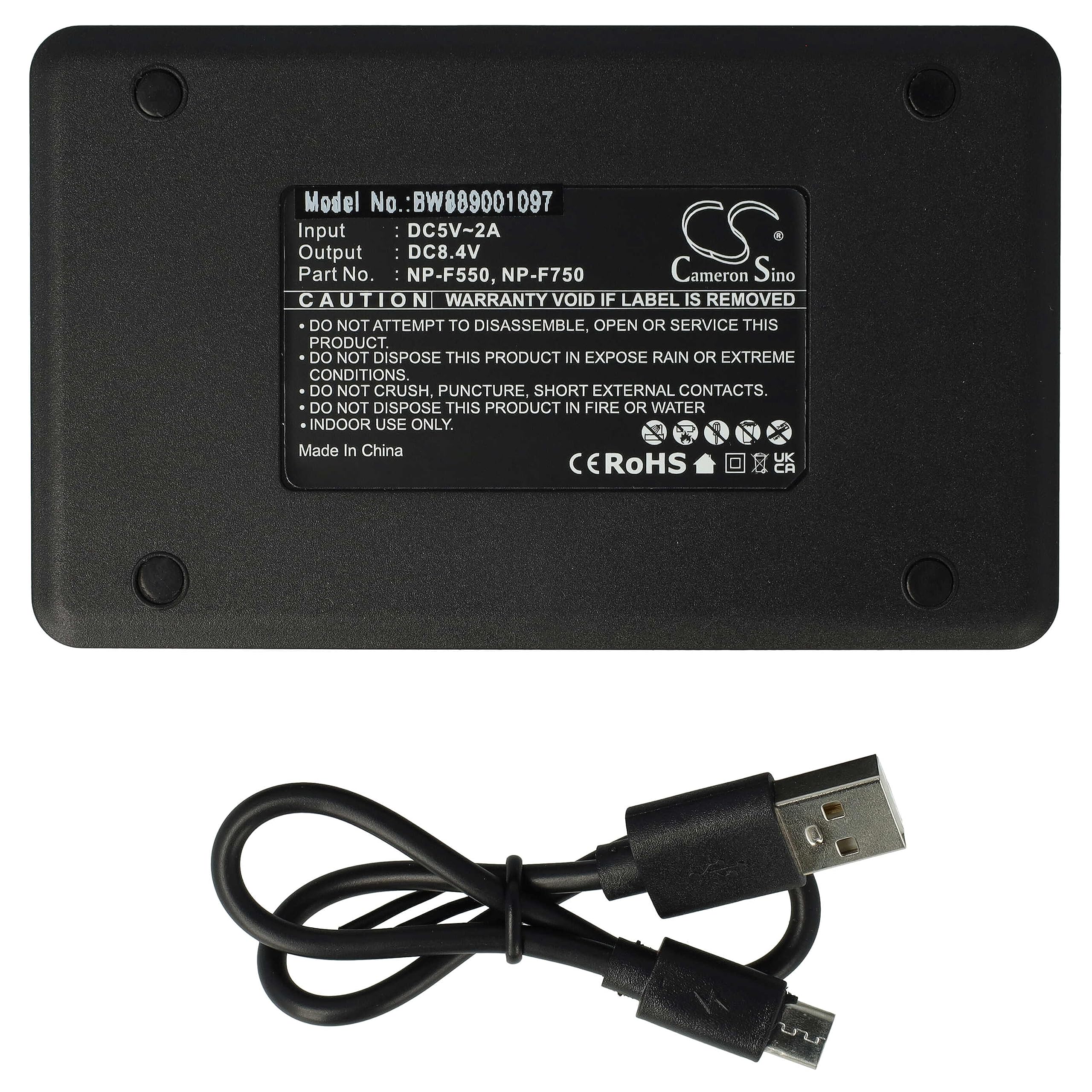 vhbw Chargeur Double Compatible avec Hitachi M-BPL30, VM-BPL13, VM-BPL13A, VM-BPL13J, VM-BPL27 caméra caméscope Action-cam - Station + câble Micro-USB