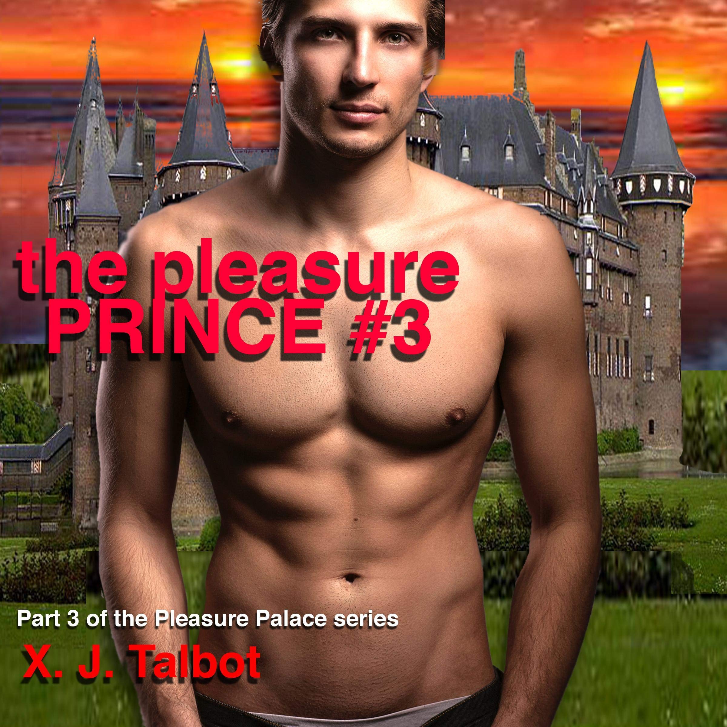 Cover art for The Pleasure Prince #3