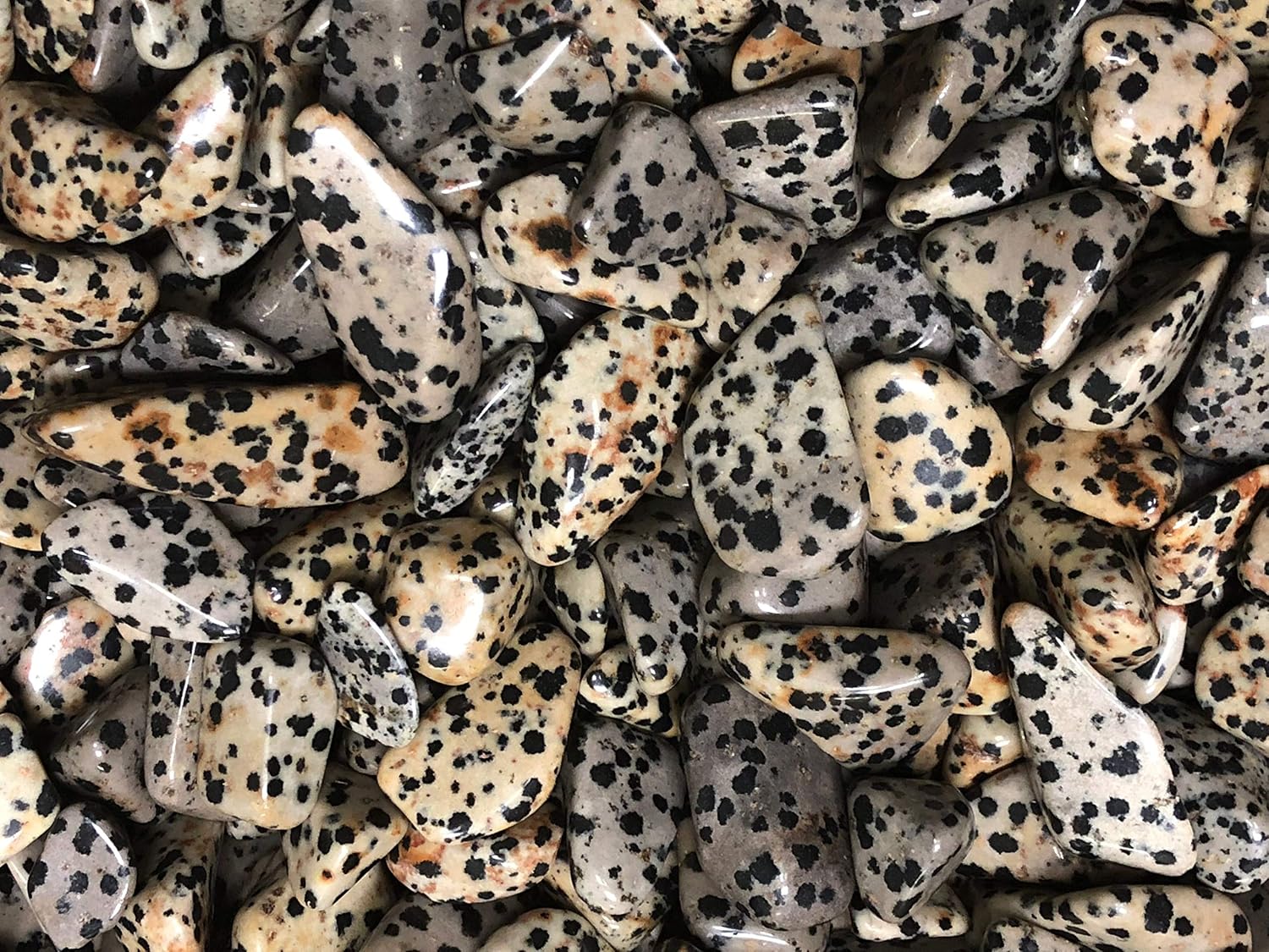 Tumbled Dalmation Jasper, Includes Velvet Bag - Large 1" Pieces (1 Pound)