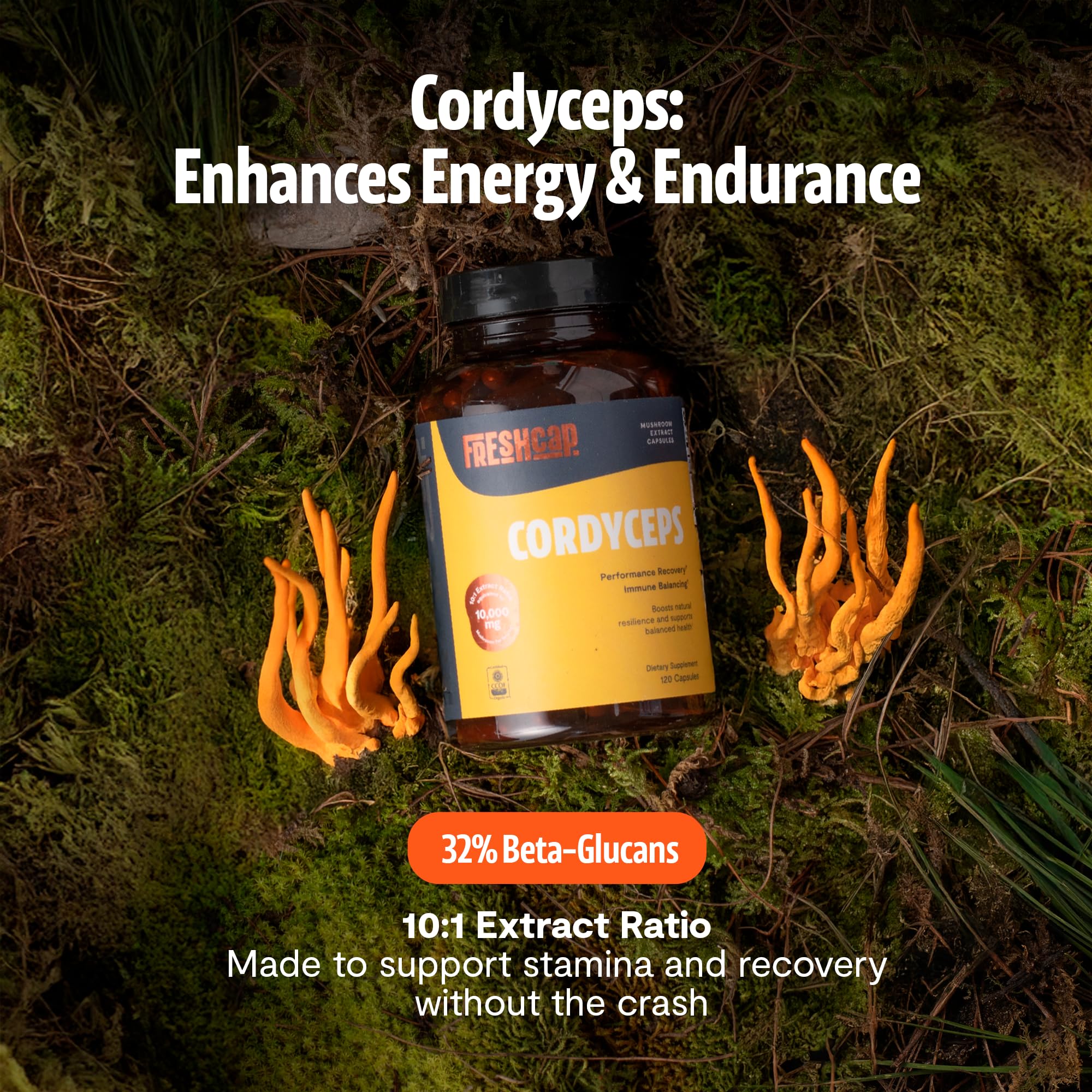FreshCap Cordyceps Mushroom Capsules, USDA Organic,120 Capsules — Amazon image 2