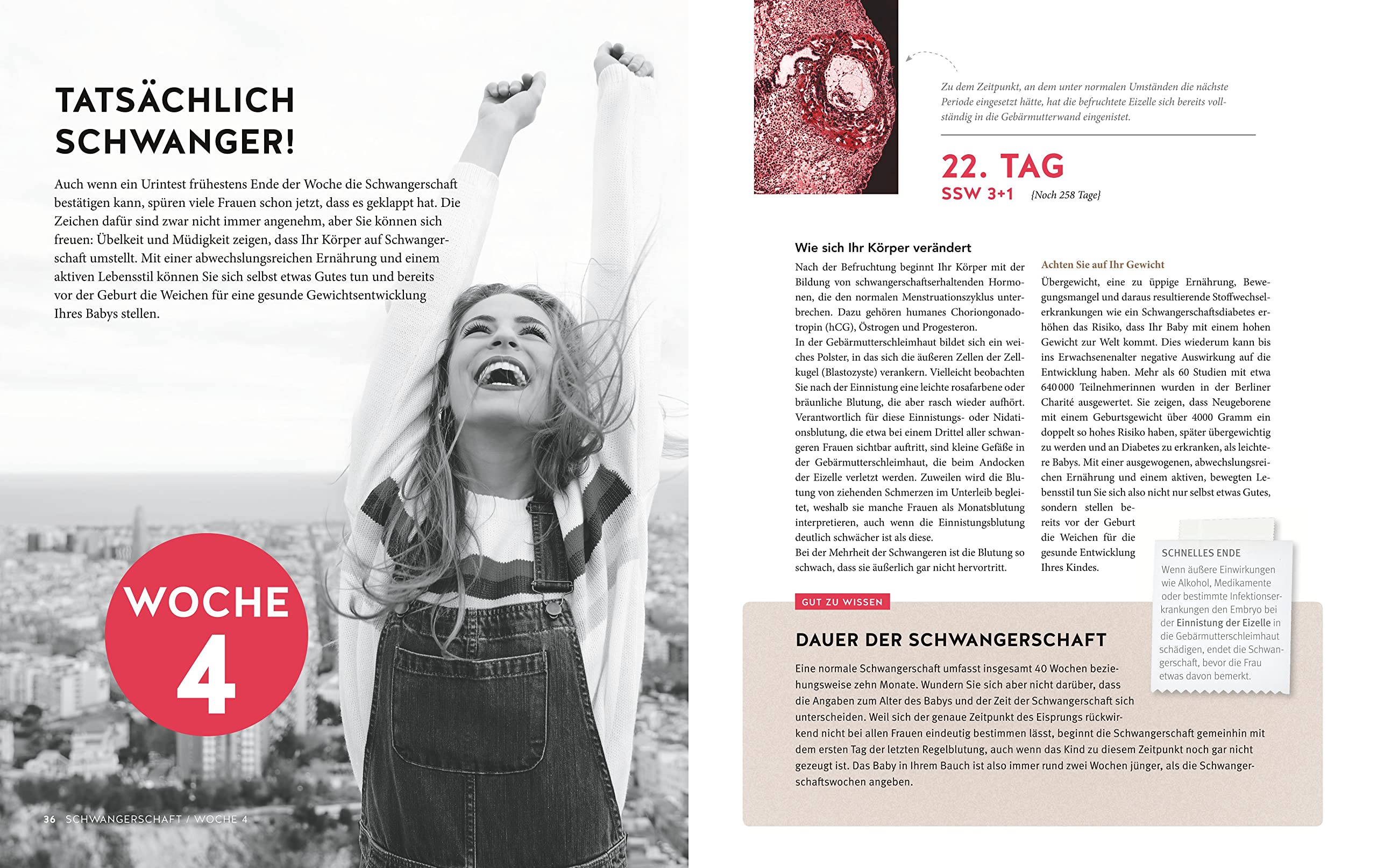 Tag für Tag durch meine Schwangerschaft: Faszinierende Bilder, umfassender Rat, spannende Infos