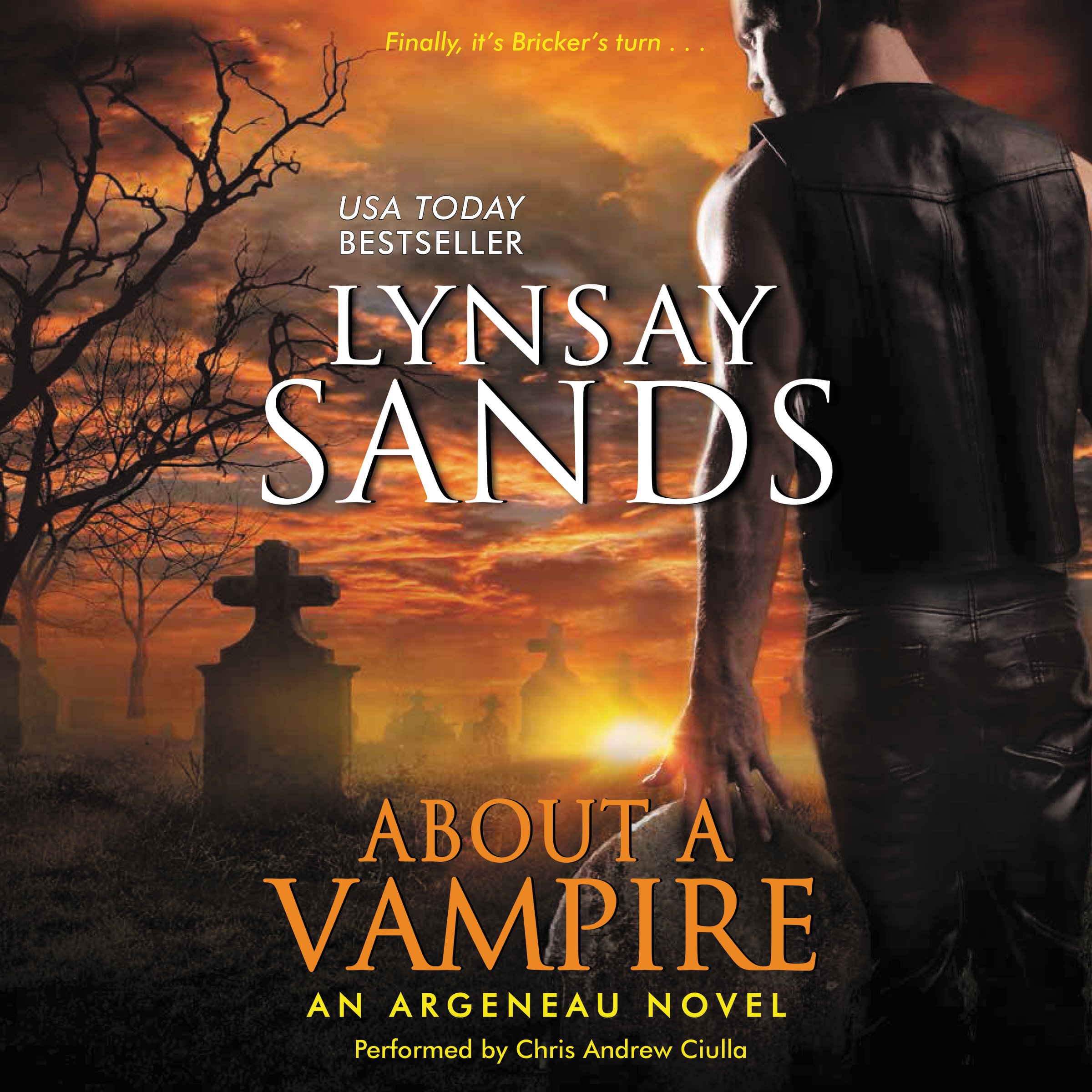 Cover art for About a Vampire