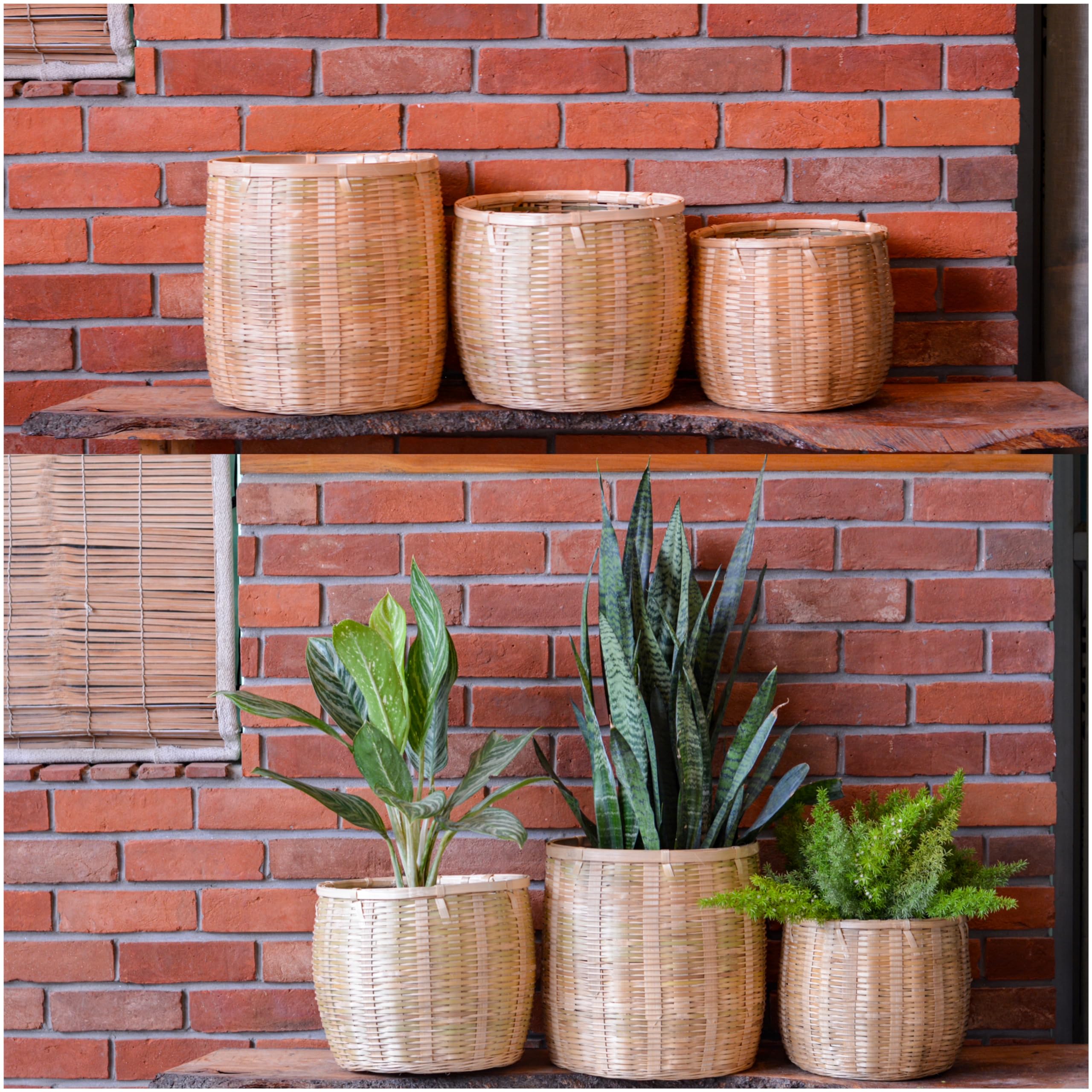 CreateYourTaste Bamboo Basket - Versatile Indoor & Outdoor Use for Balcony, Terrace, Garden, Bedroom, Living Room, Flower Pot Storage for Toys, Clothes, Magazine (Combo Pack of 3) (B0DCWCVTRX) Amazon Price History, Amazon Price Tracker