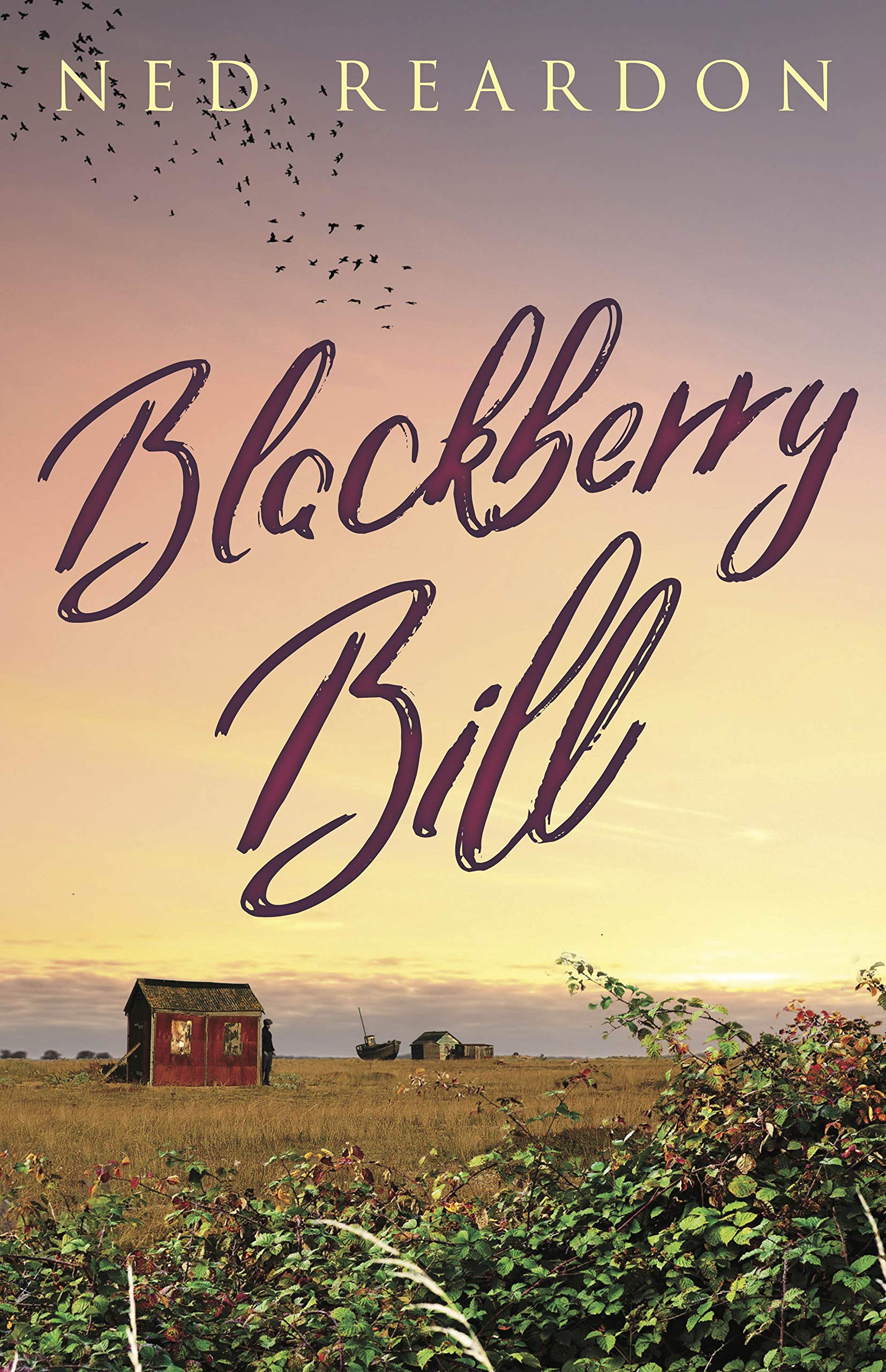 Blackberry Bill by Ned Reardon PAPERBACK 9781911546375