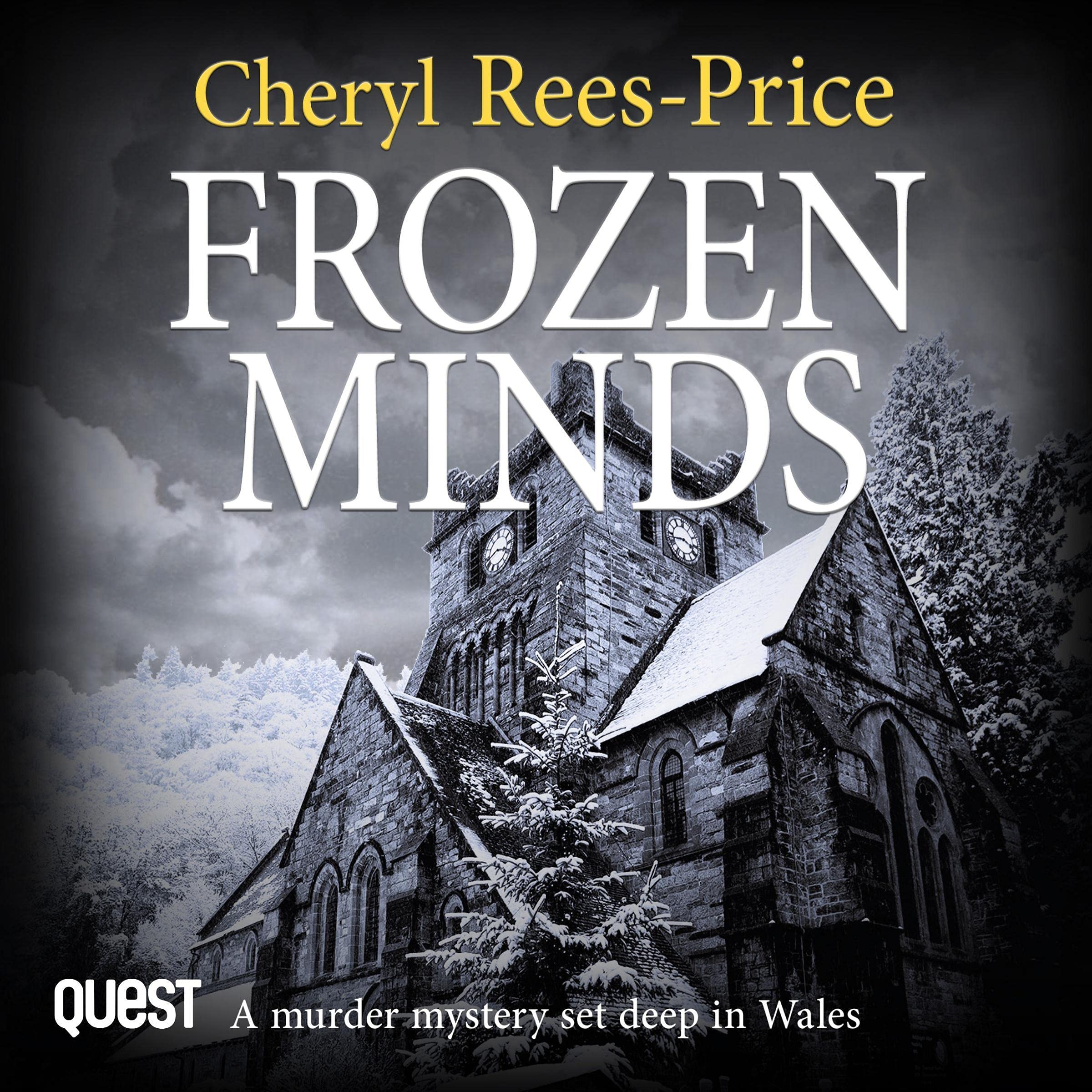 Cover art for Frozen Minds