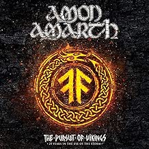 The Pursuit of Vikings: 25 Years in the Eye of the Storm - coolthings.us