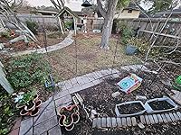 Review Image by Brittny Villarreal Brittny Villarreal