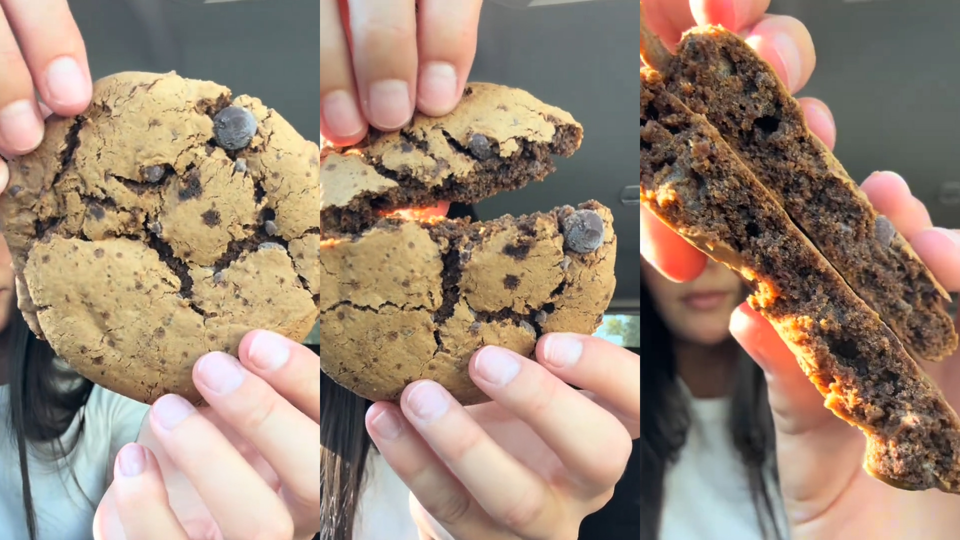 Amazon.com: Toto Soft-Baked Protein Cookies, Sea Salt Chocolate