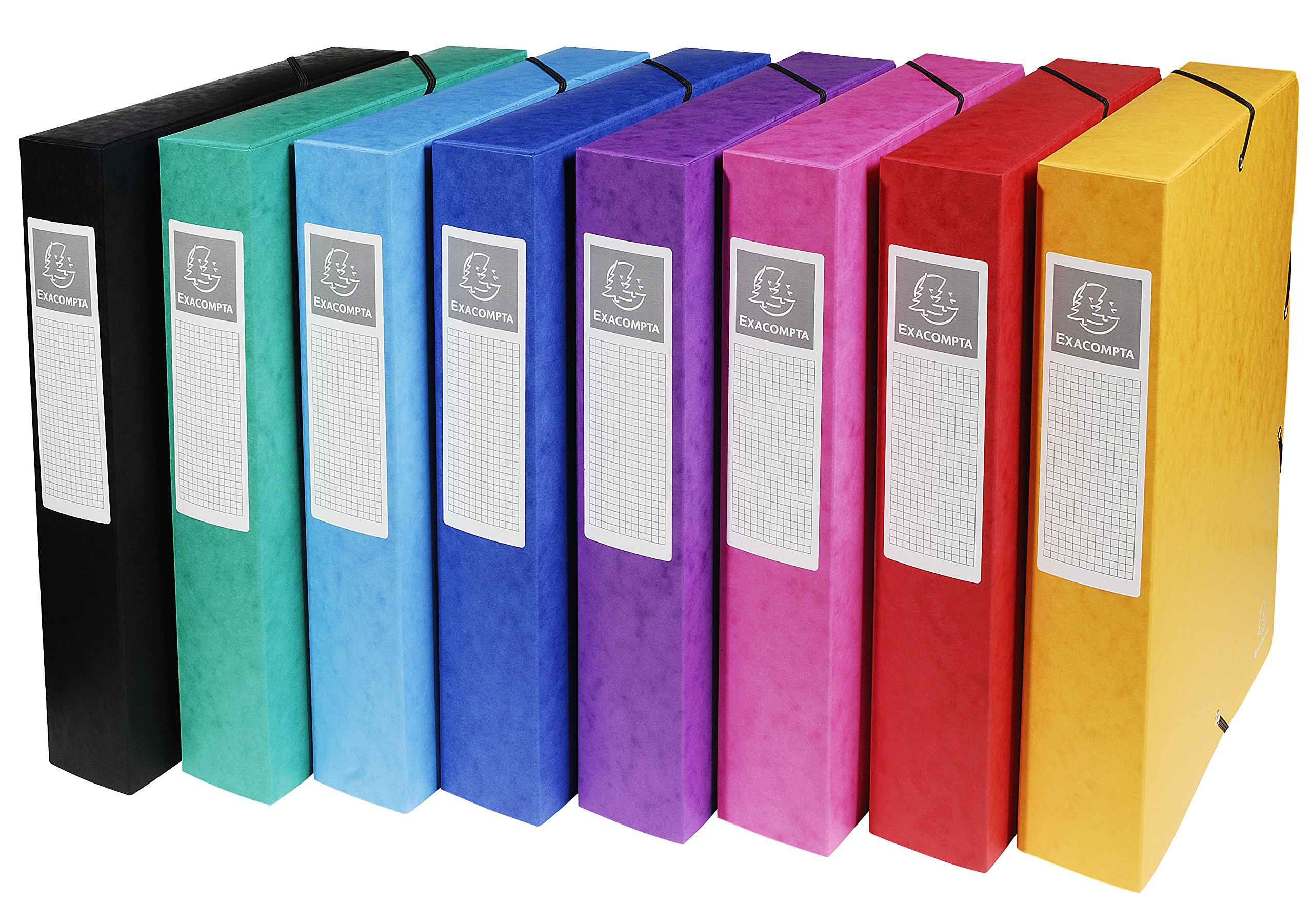 Boite de classement exabox en carte lustree nature future - dos de 60mm - 24x32cm pour a4