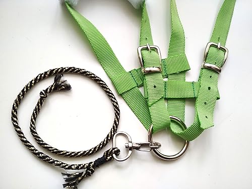 Miniatura 7 de Green Halter for Hobby Horse | Tack for Stick Horse | Accessory