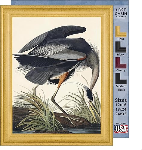 Lost Cabin Great Blue Heron de James Audubon Lienzo en marco biselado dorado Reproducción de pinturas de obras de arte finas Póster decorativo
