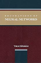 Foundations of Neural Networks
