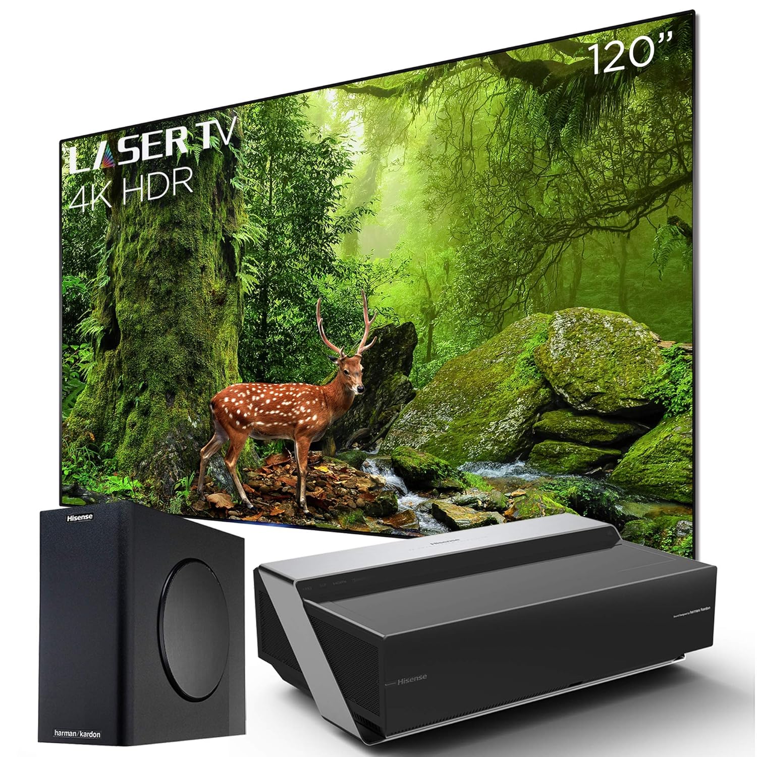 Hisense 120L10E 120-Inch 4K UHD Smart Laser Projector TV with Screen and 2 1 Audio System 2019 Renewed