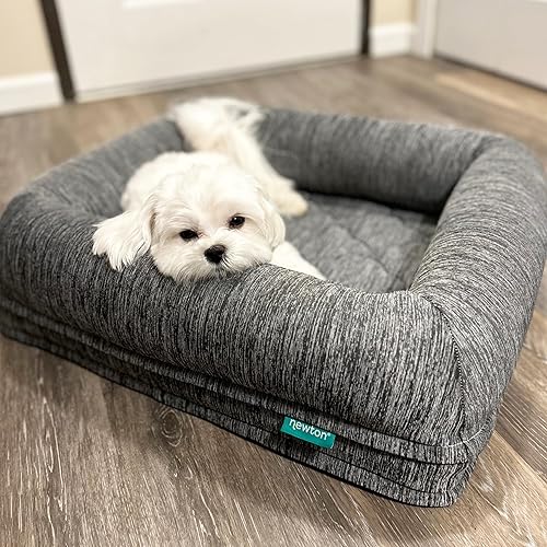 Newton - Cama ortopédica para mascotas, cama lavable para perros pequeños, cama para cachorros, jaula, con funda de cama extraíble y transpirable,