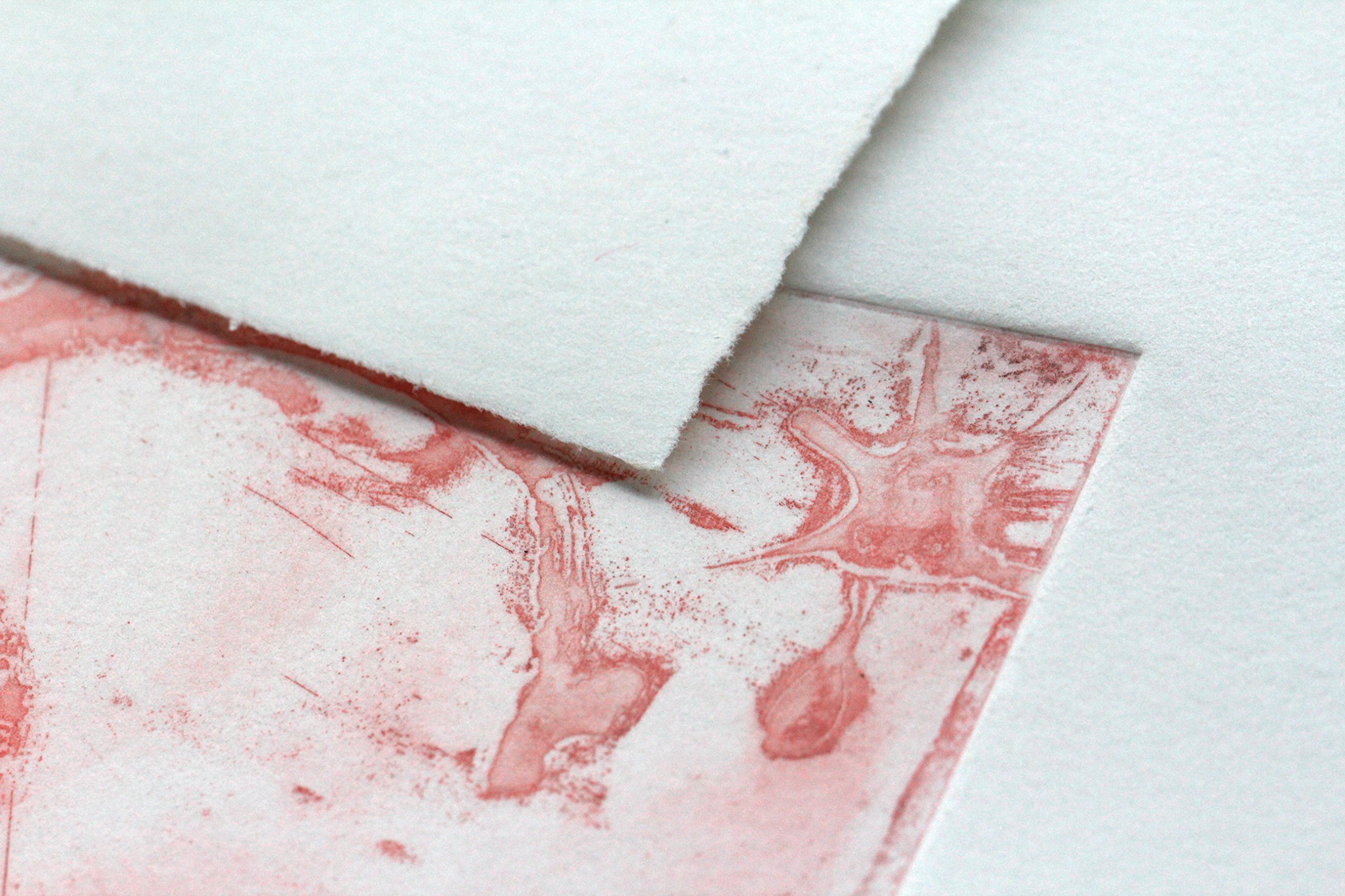 Clairefontaine, Ref 975055C, Fleur De Cotton Paper (10 Sheets), 56 x 76cm Size, 250gsm Cotton Paper, Acid Free, pH Neutral - Image 2