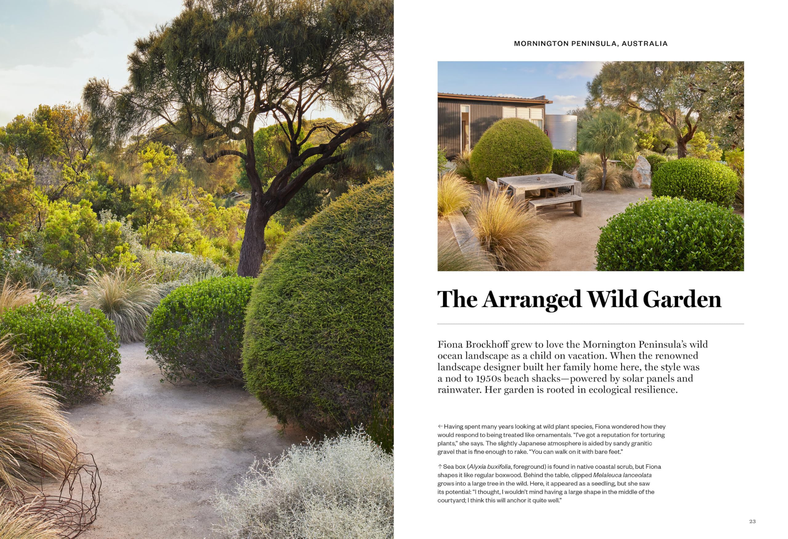 Gardenista: The Low-Impact Garden: A Sourcebook for Sustainable Outdoor Spaces