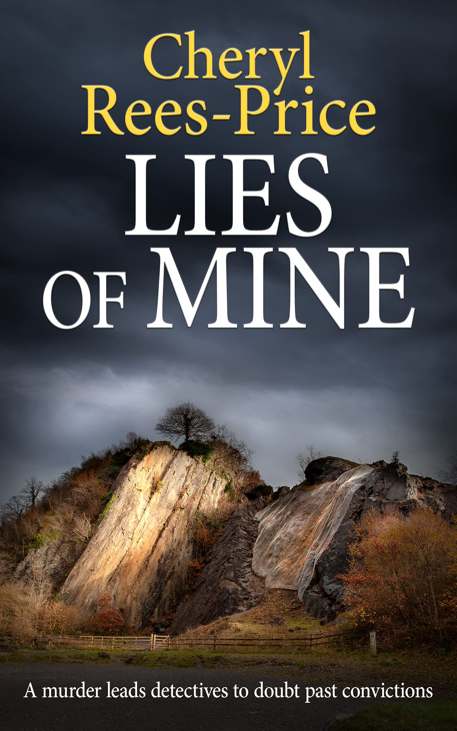 Lies of Mine: DI Winter Meadows, Book 5