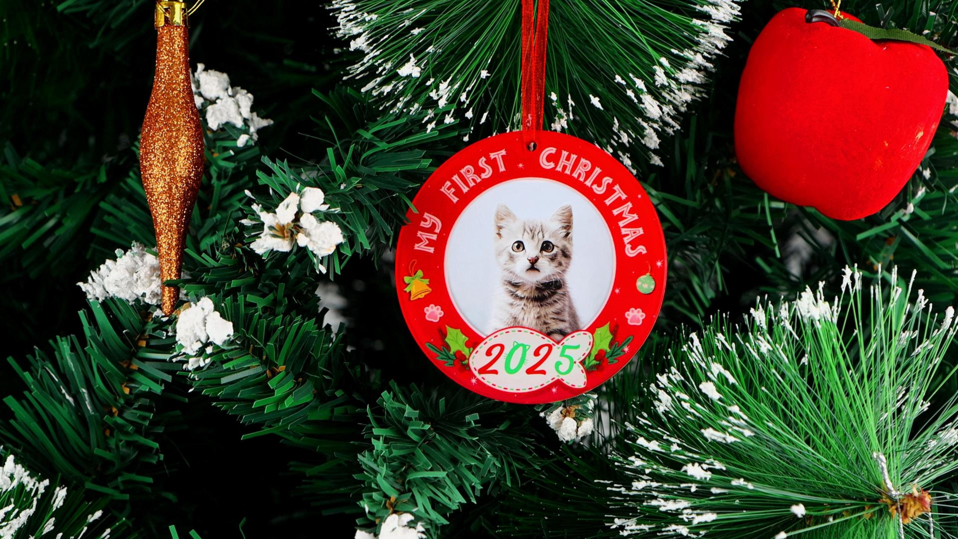 EruditeGifts Merry Christmas Ornament - Oriental Shorthair Cat Keepsake...