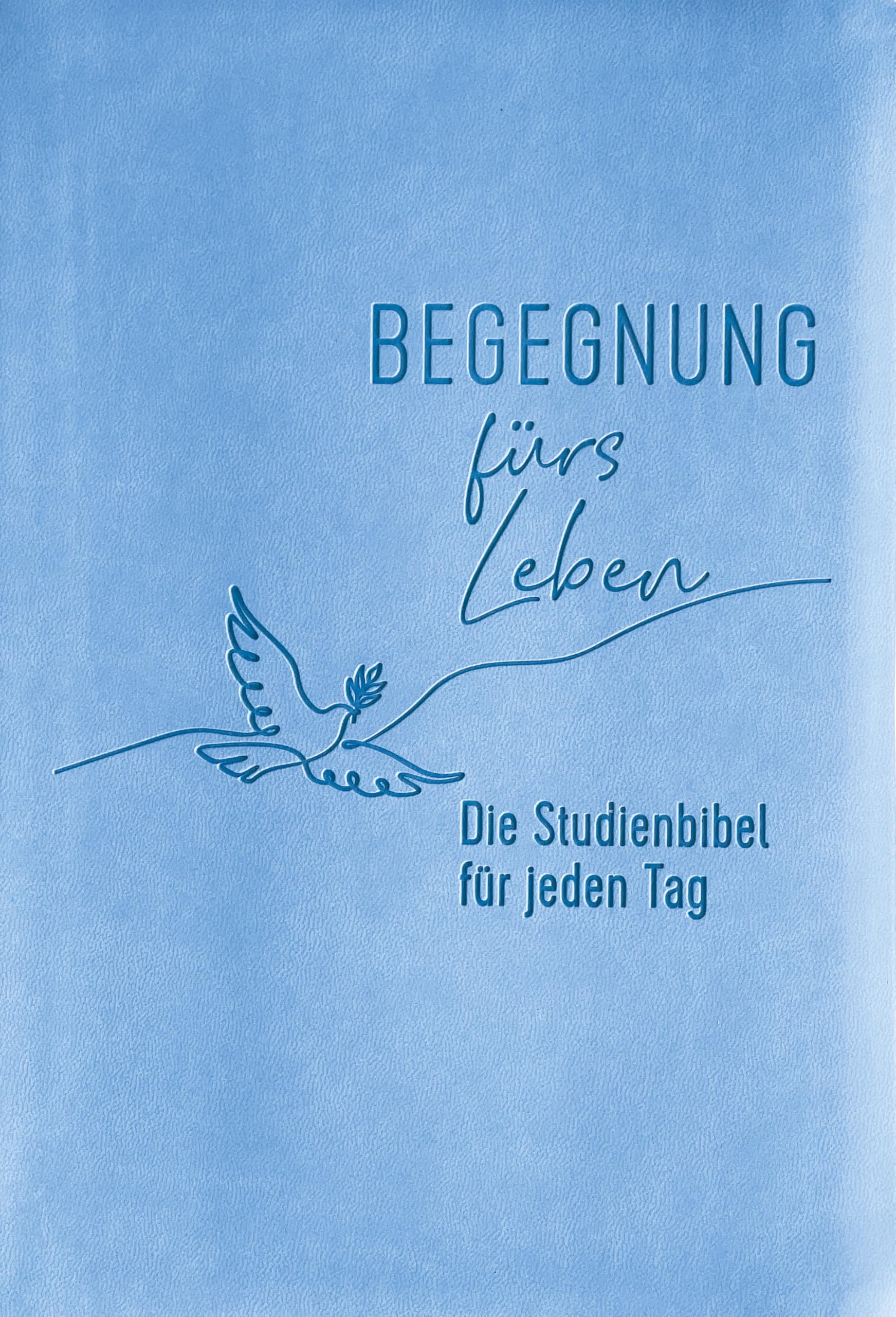 Begegnung fürs Leben, Kunstleder: Die Studienbibel für jeden Tag (Neues Leben. Die Bibel)