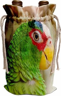 Wine Bag - Belize, Belize City, Belize City Zoo. Captive White Fronted parrot. Parrots