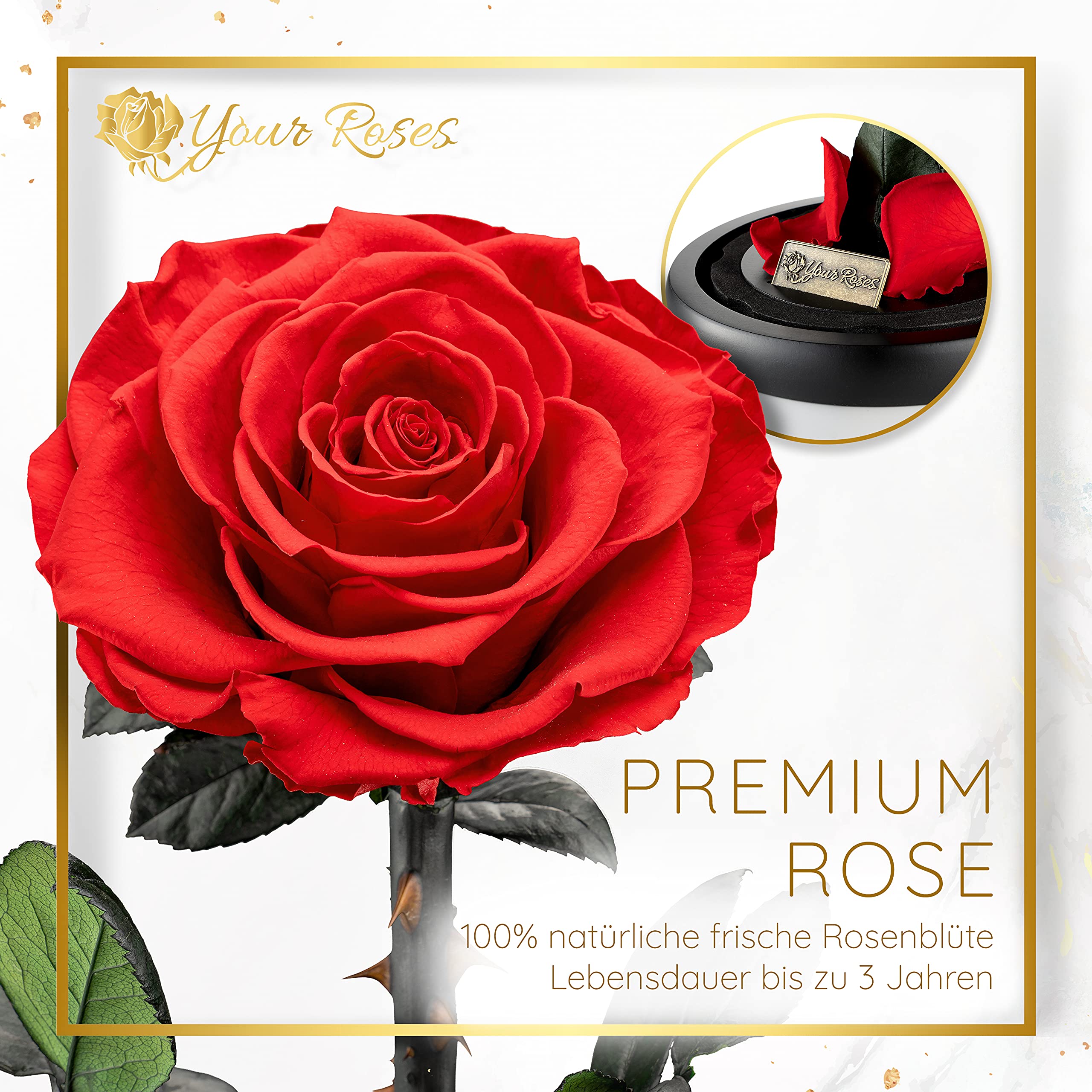 YourRoses® echte Premium Rose im Glas mit Einer wunderschönen Geschenkbox | Lange Haltbarkeit & edles Geschenk als Liebesbeweis | EIN Geschenk vom Herzen