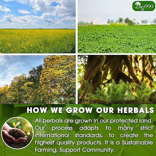 Miniatura 5 de 60 bolsas de té que alivian el estreñimiento té natural, mezcla de hojas de sena - menta - regaliz - hinojo, 100% naturales Ingrendientes, té de