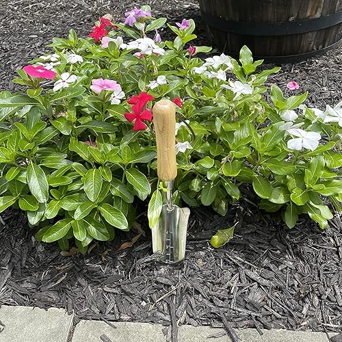 Miniatura 5 de Garden Guru - Paleta para trasplantadora ecológica, acero inoxidable 100% reciclado, resistente a la corrosión, mango ergonómico de madera