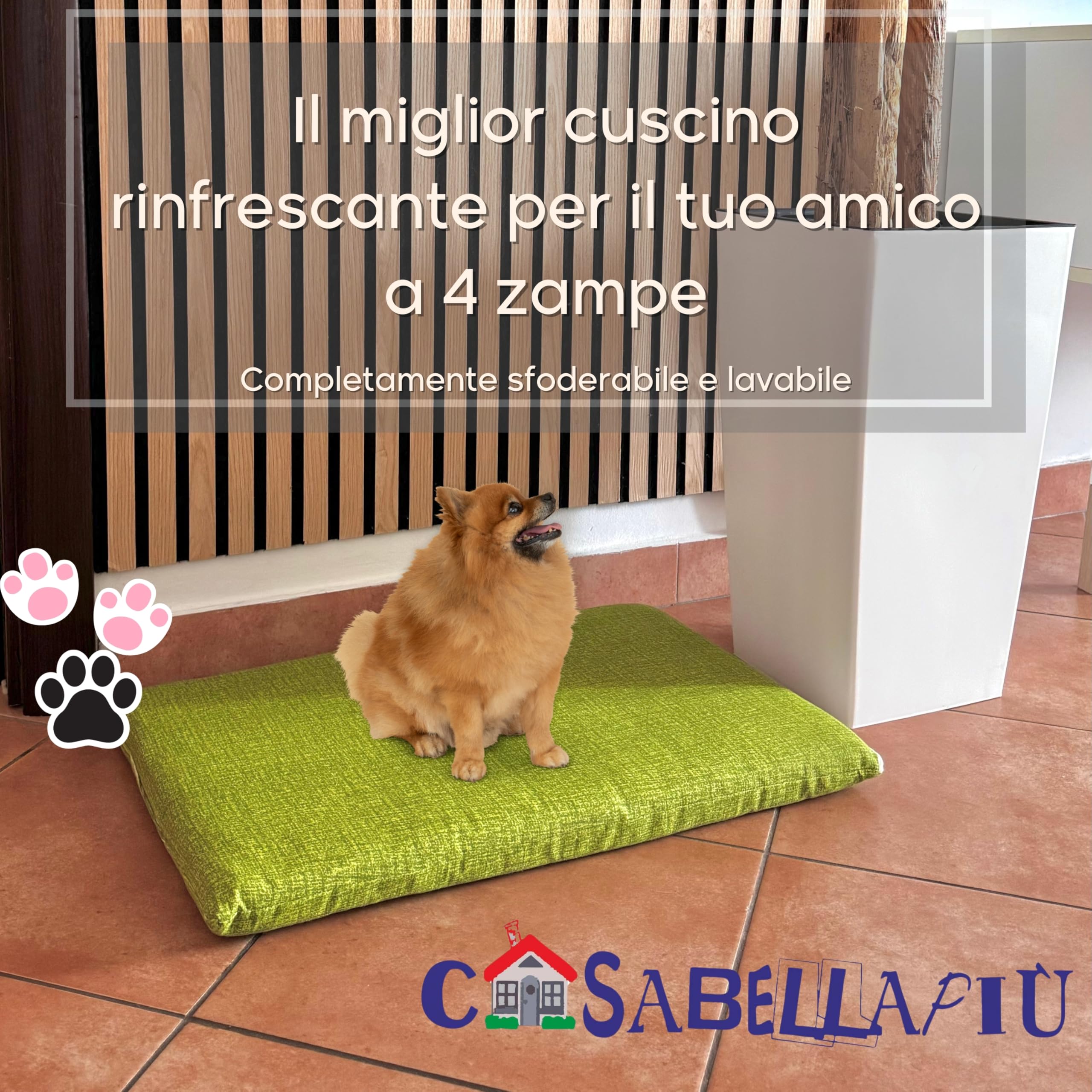 CASABELLAPIU Cuscino Per Cani, Lettino Per Cuccia Cani o Gatti Completamente Sfoderabile e Lavabile, 100% Made In Italy (VERDE, 70x50 cm)