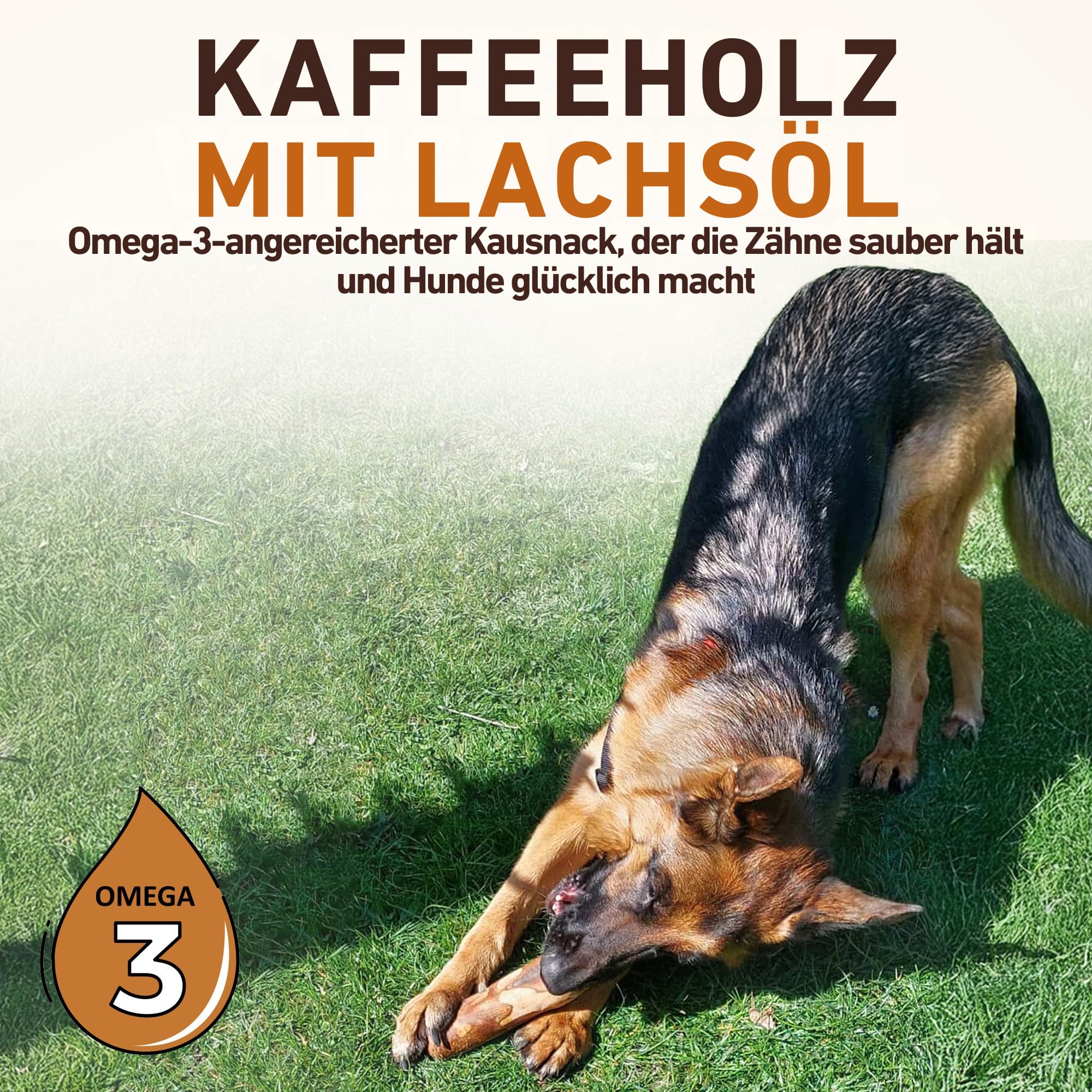 Wildfang® Kaffeeholz für Hunde mit Lachsöl – Kauspielzeug aus Kaffeeholz für Aggressive Kauer und Welpen im Zahnwechsel. Zahnpflege-Spielzeug für Hunde, Größe L (über 25 kg), 3er-Pack