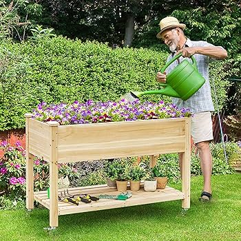 Amazon.com: S AFSTAR Raised Garden Bed with Wheels, 48