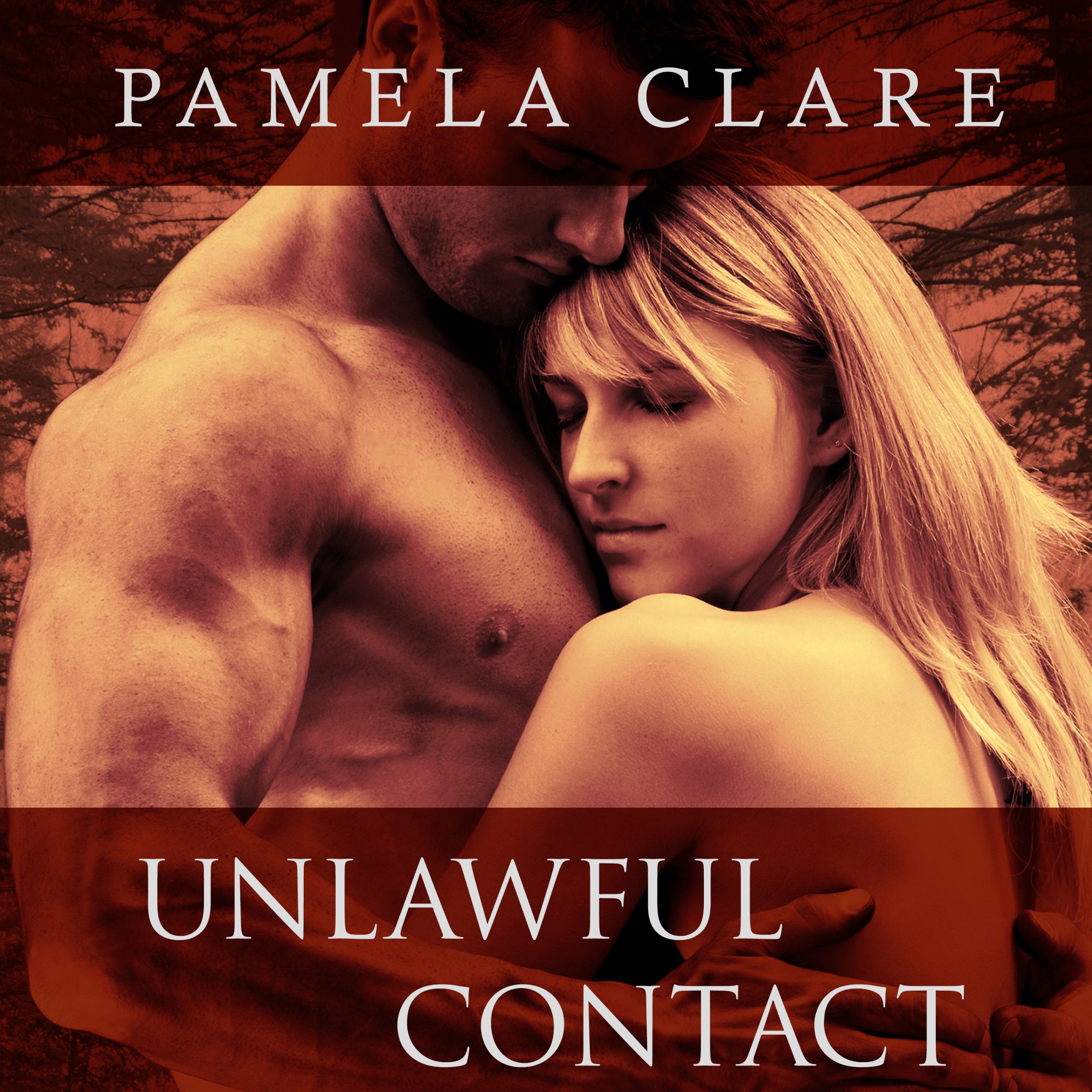 Cover art for Unlawful Contact