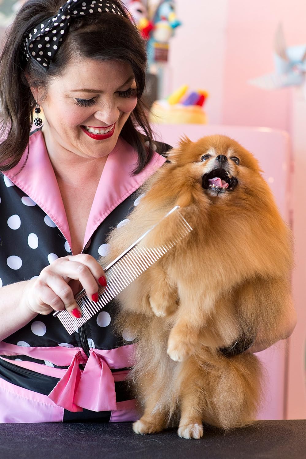 Andis 65730 Stainless-Steel Comb for Knots, Mats & Loose Hair Removal - Effective Dematting Tool, Comfortable, Lightweight, Portable & Safe for Dogs, Cats & Pets – Silver, 7-1/2-Inch : Everything Else