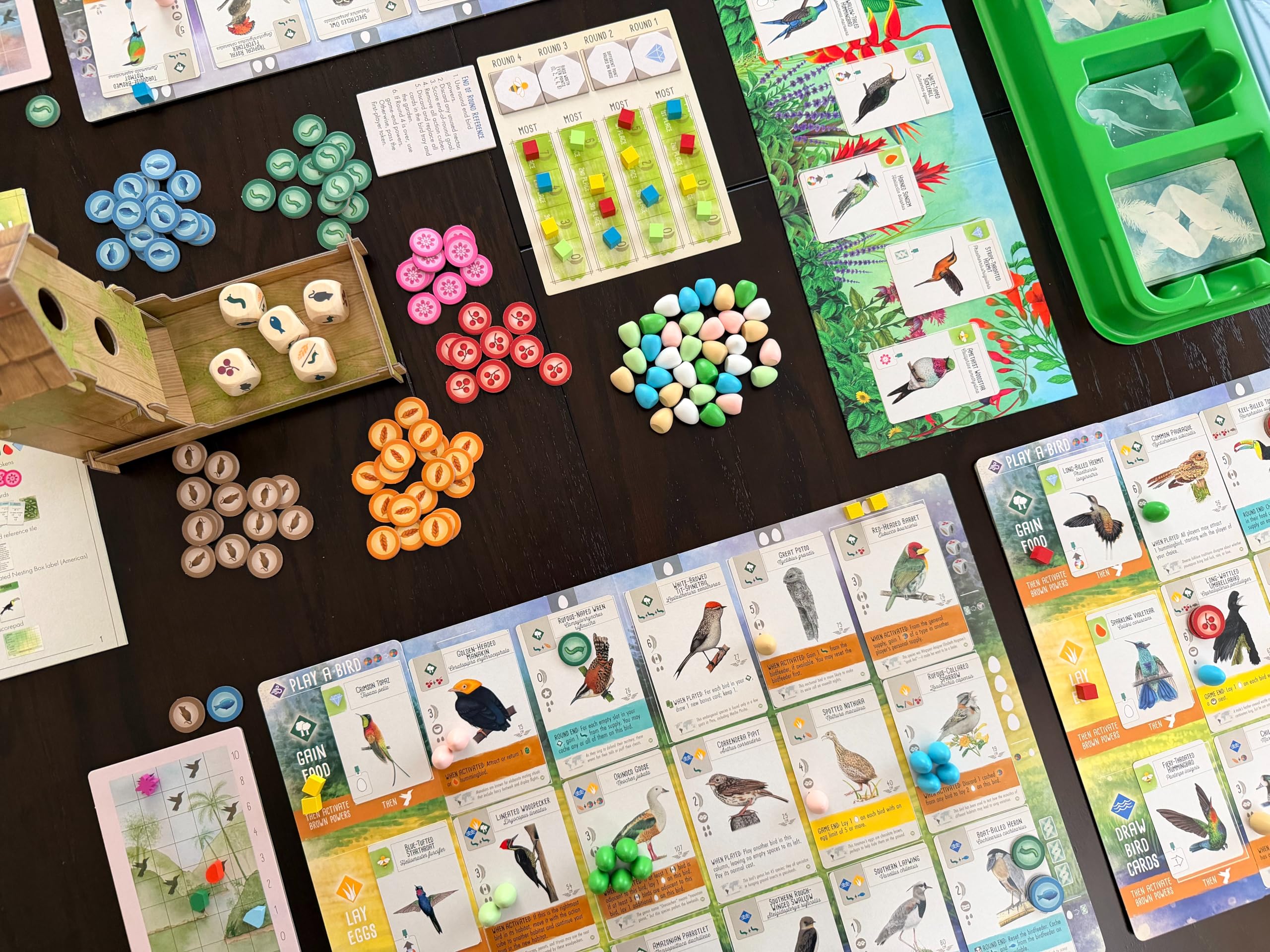 Stonemaier Games Wingspan - Espansione americana, gioco da tavolo, per 1-5 giocatori, a partire dai 14 anni
