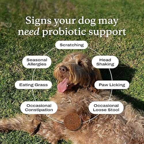 Miniatura 3 de PetLab Co. Probiotics for Dogs, Support Gut Health, Occasional Diarrhea, Digestive Health & Seasonal Allergies - Pork Flavor - 30 Soft Chews -