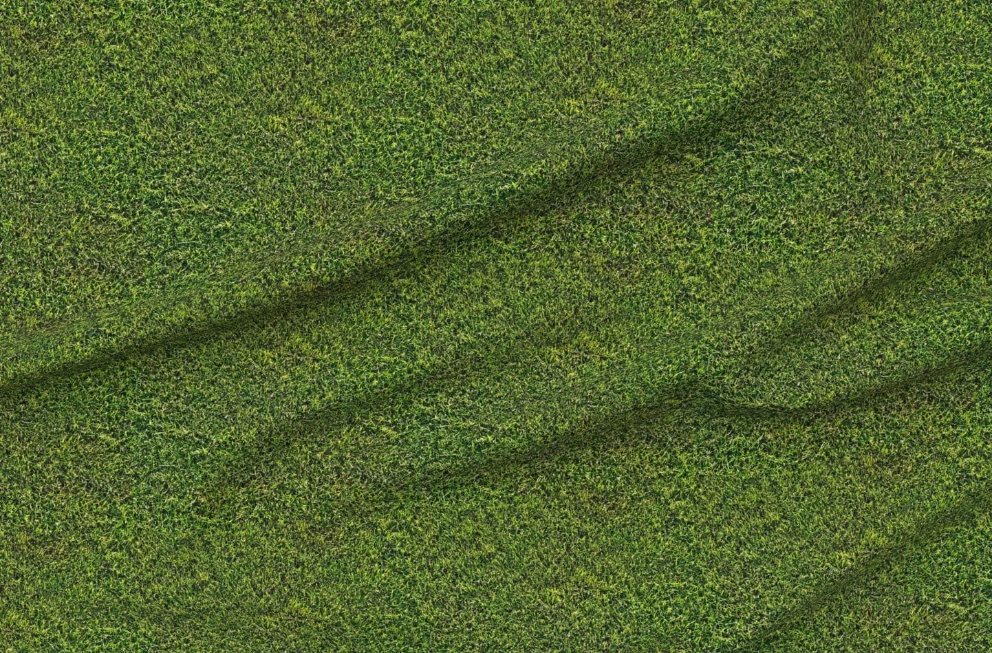 Spoonflower Fabric - Lawn Grass Green Printed on Minky Fabric by The Yard - Sewing Baby Blankets Quilt Backing Plush