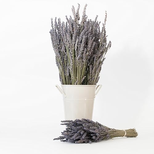 Miniatura 6 de Victoria's Lavender Pillow and Linen Spray - Aceite esencial de lavanda - Spray de lavanda - Spray de almohada - Spray de niebla de almohada - Hecho