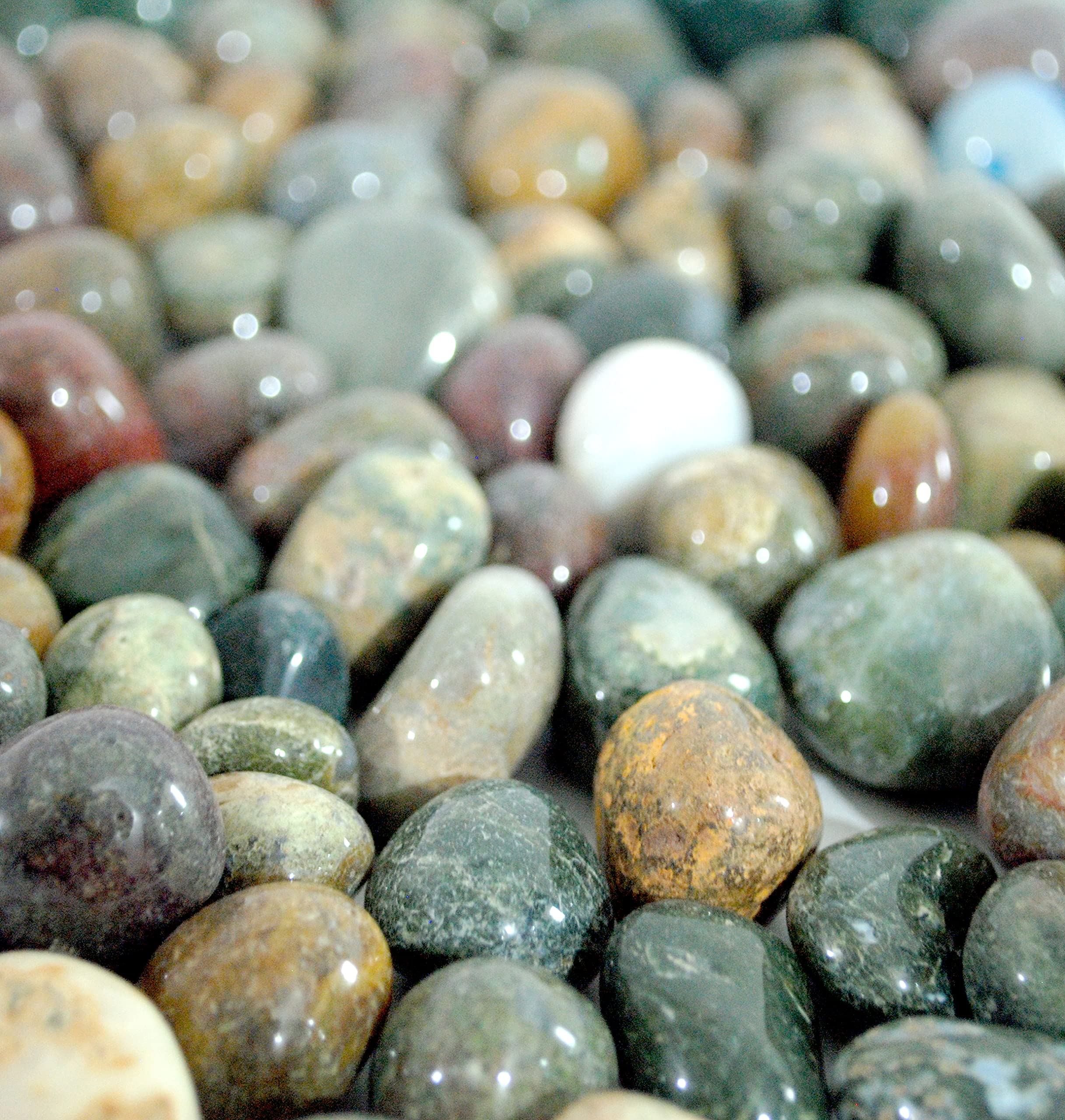 Schmick Pebbles for Decoration - Fancy Tumble Pebbles Stones for Fish Tank Aquarium, Fountain, Table Decor - Decorative Pebbles Stones and Vase Fillers - Pebbles for Plants Pots and Garden Decor (1.9 Kg, Fancy Tumble) 4
